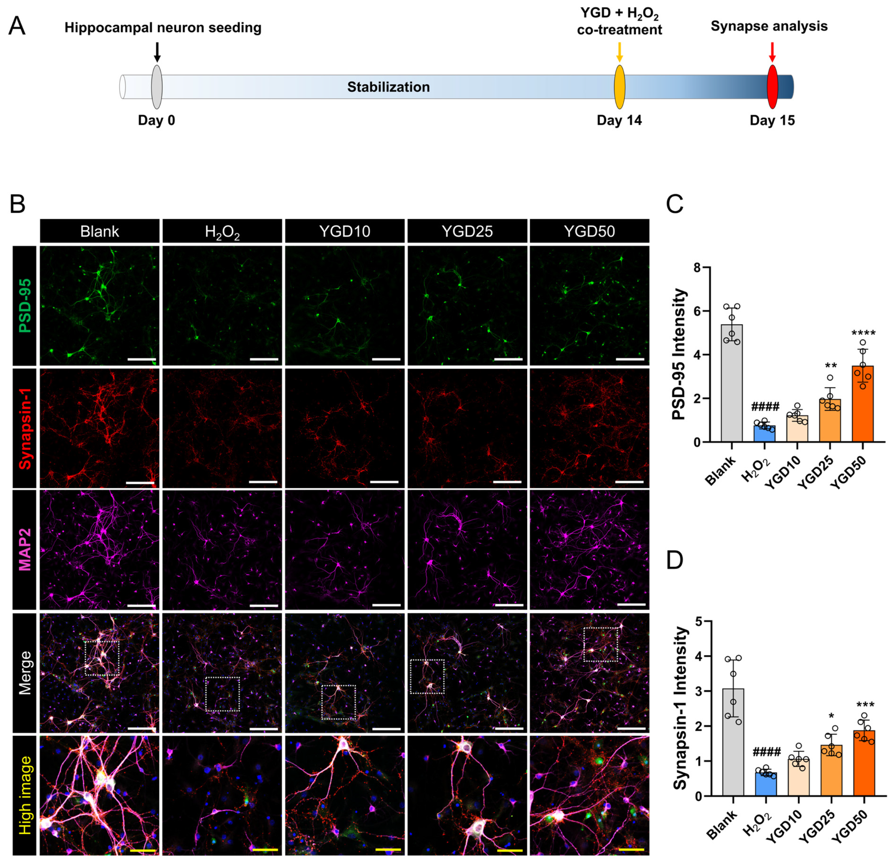 Biology 15 00294 g003