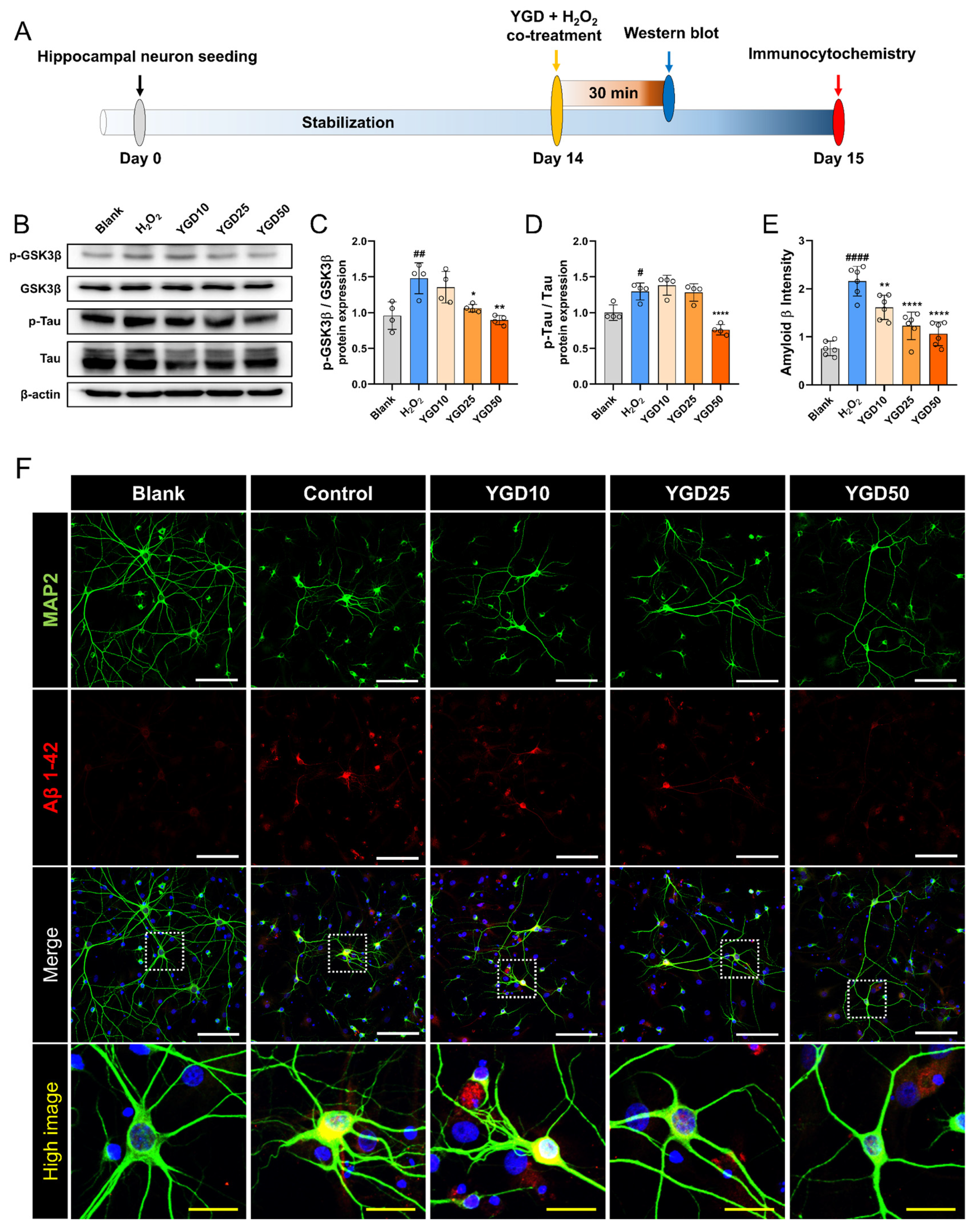 Biology 15 00294 g005