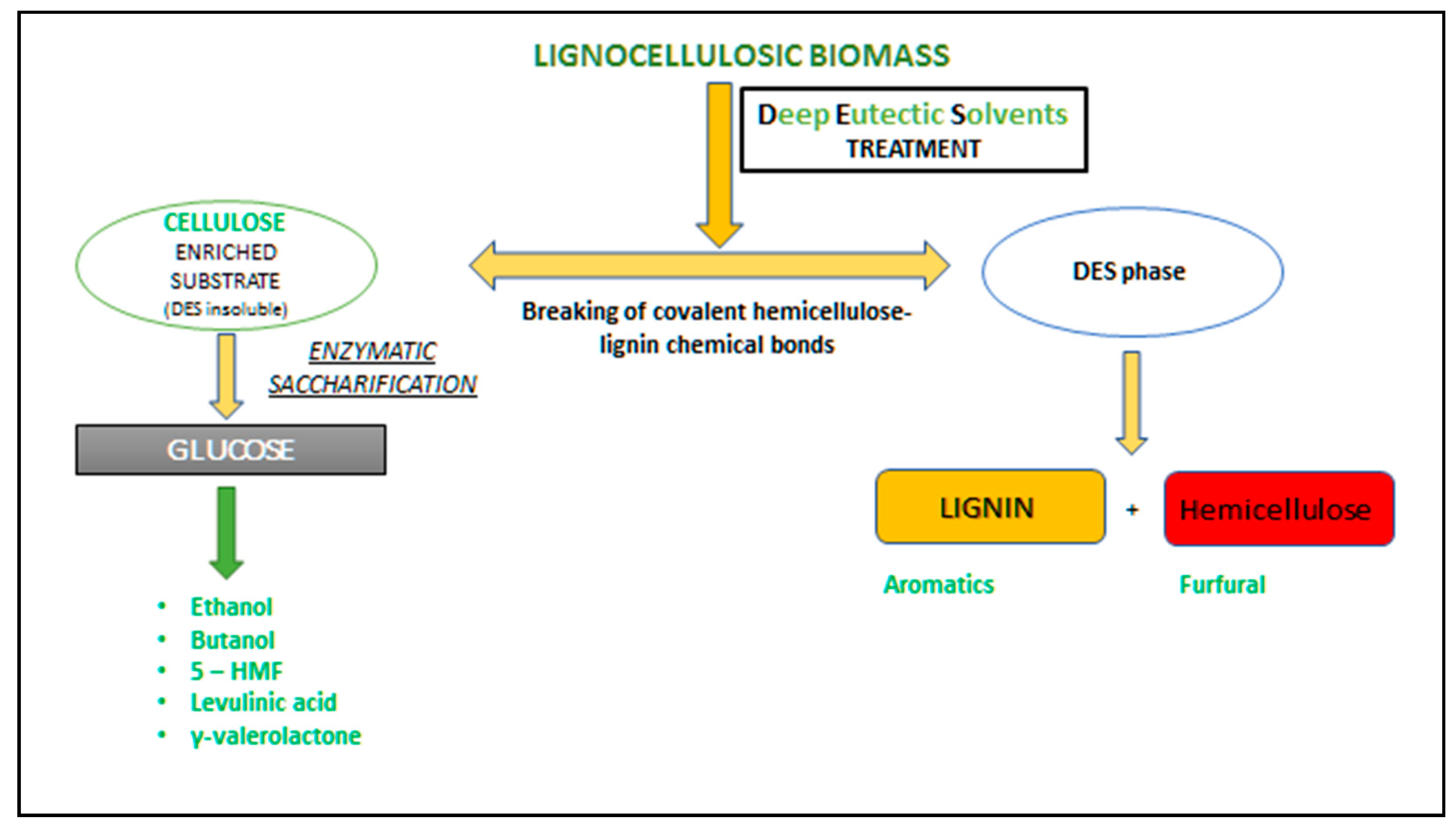 Biomass 01 00003 g007 550