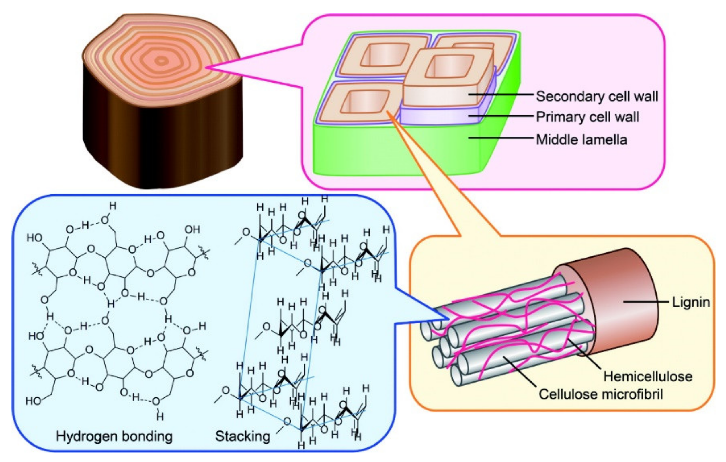 Biomass 01 00006 g004 550