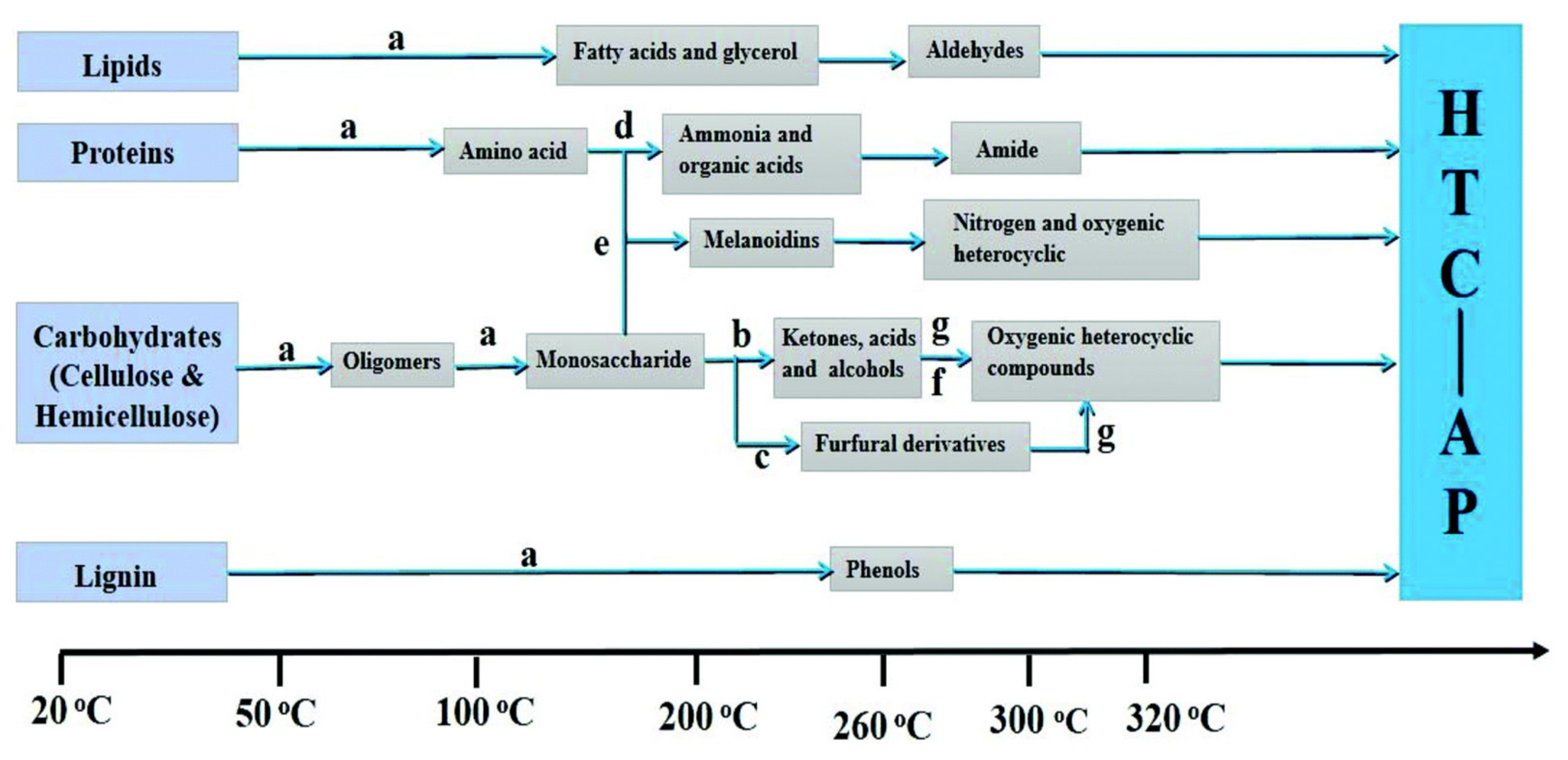 Biomass 01 00006 g005 550