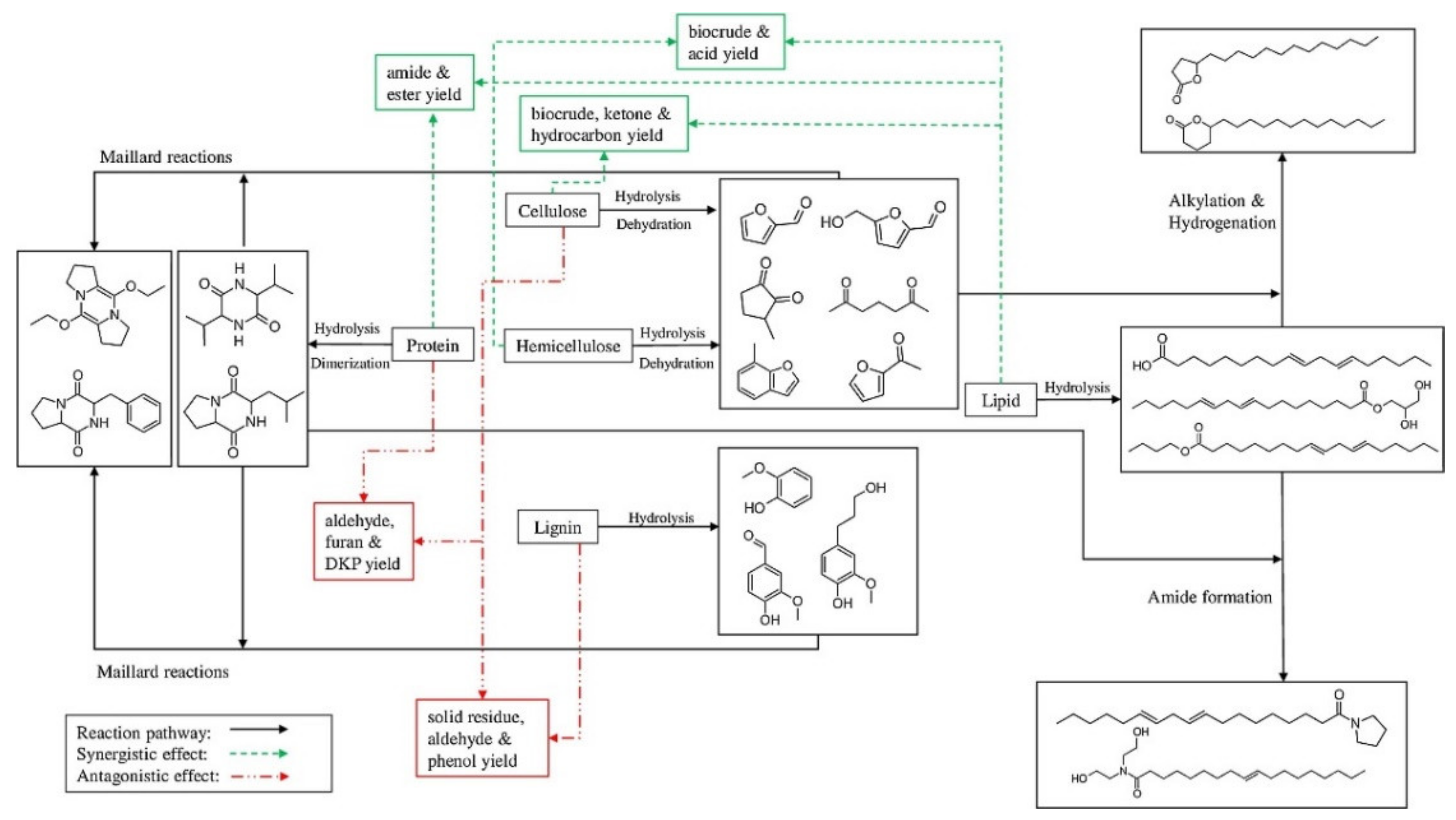 Biomass 01 00006 g007 550