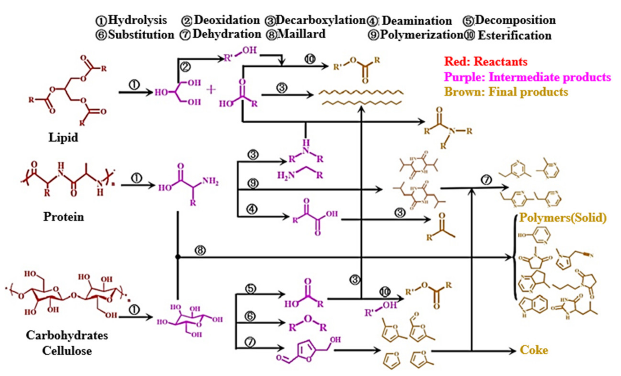 Biomass 01 00006 g010 550