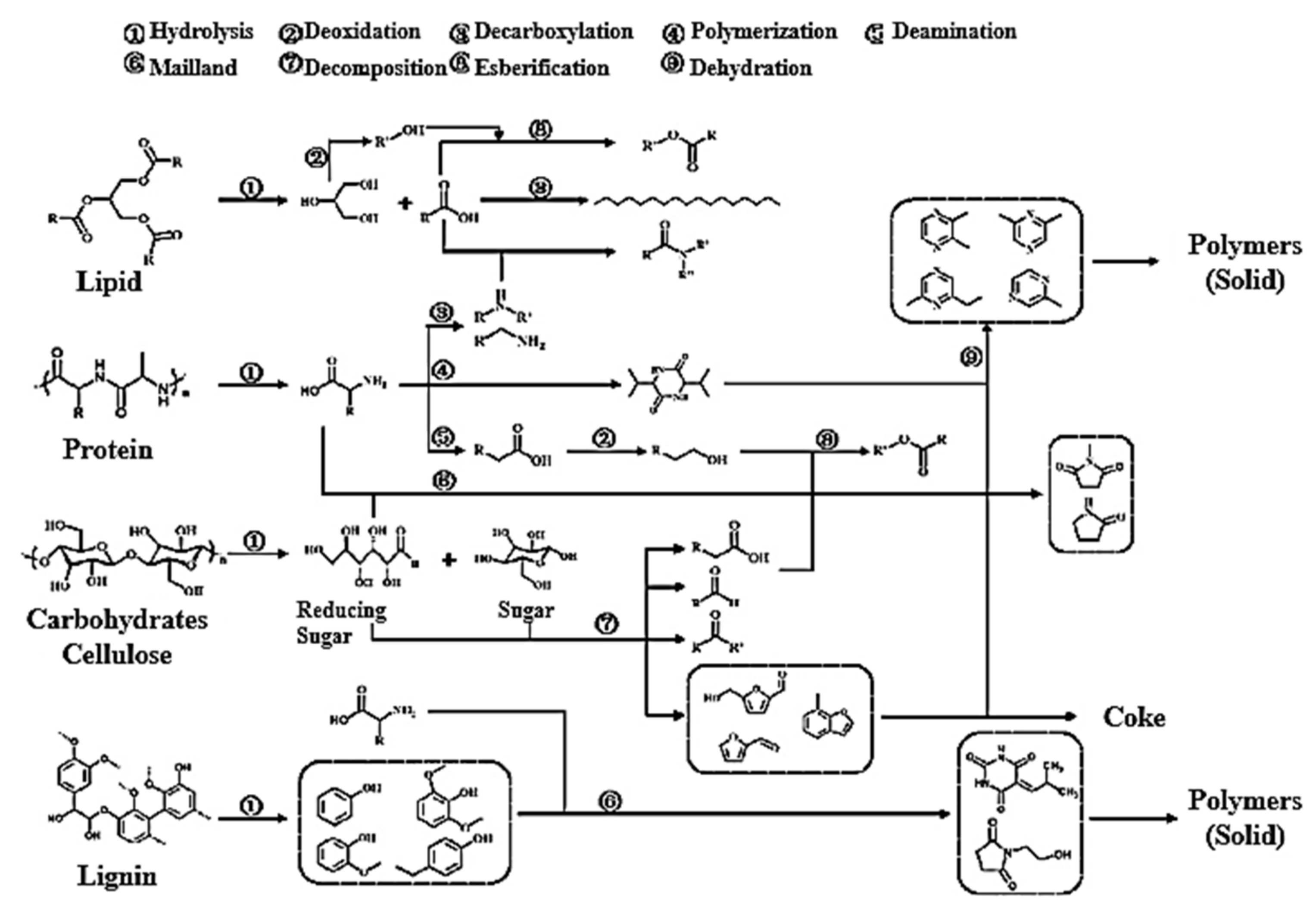 Biomass 01 00006 g011 550