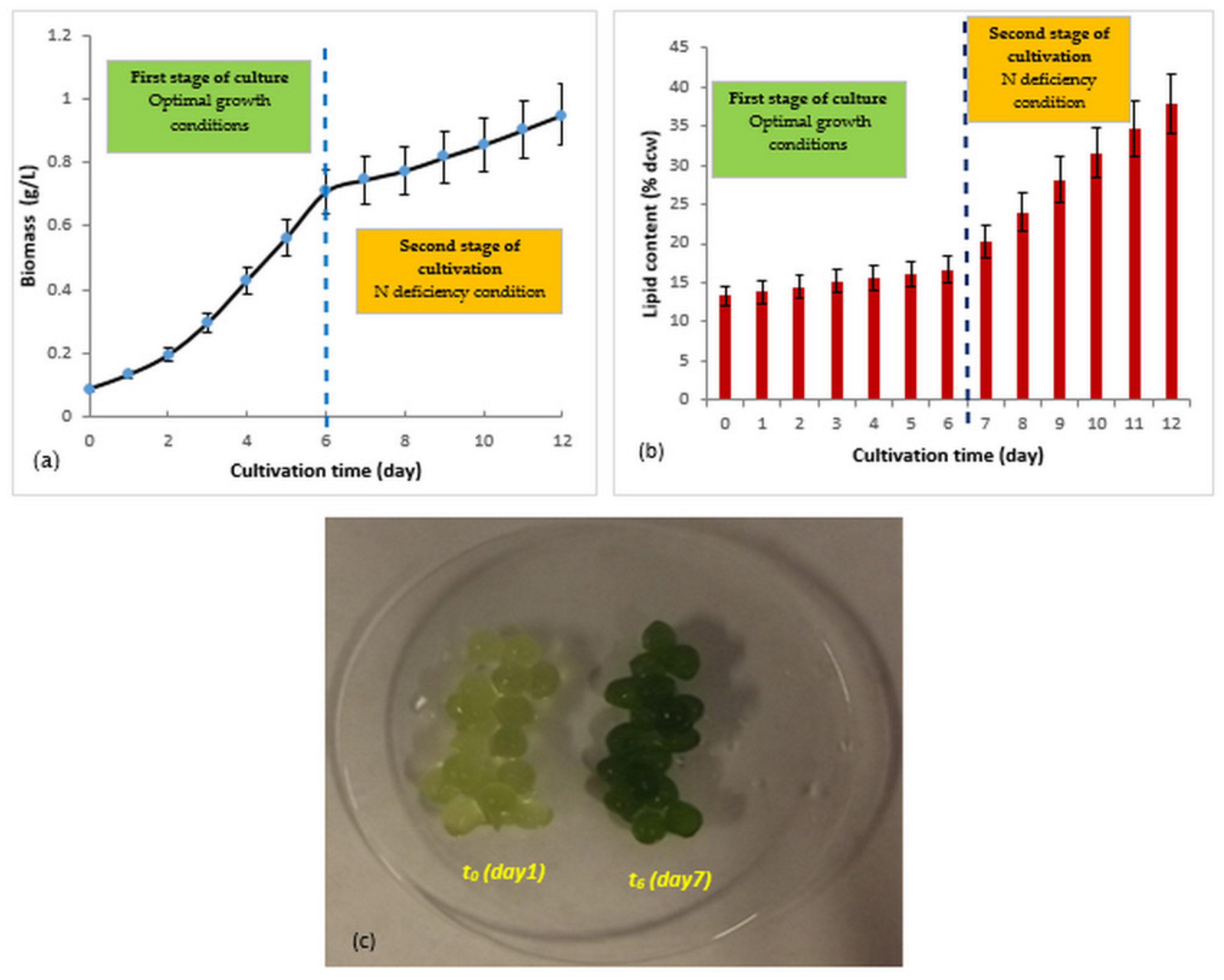 Biomass 01 00007 g003