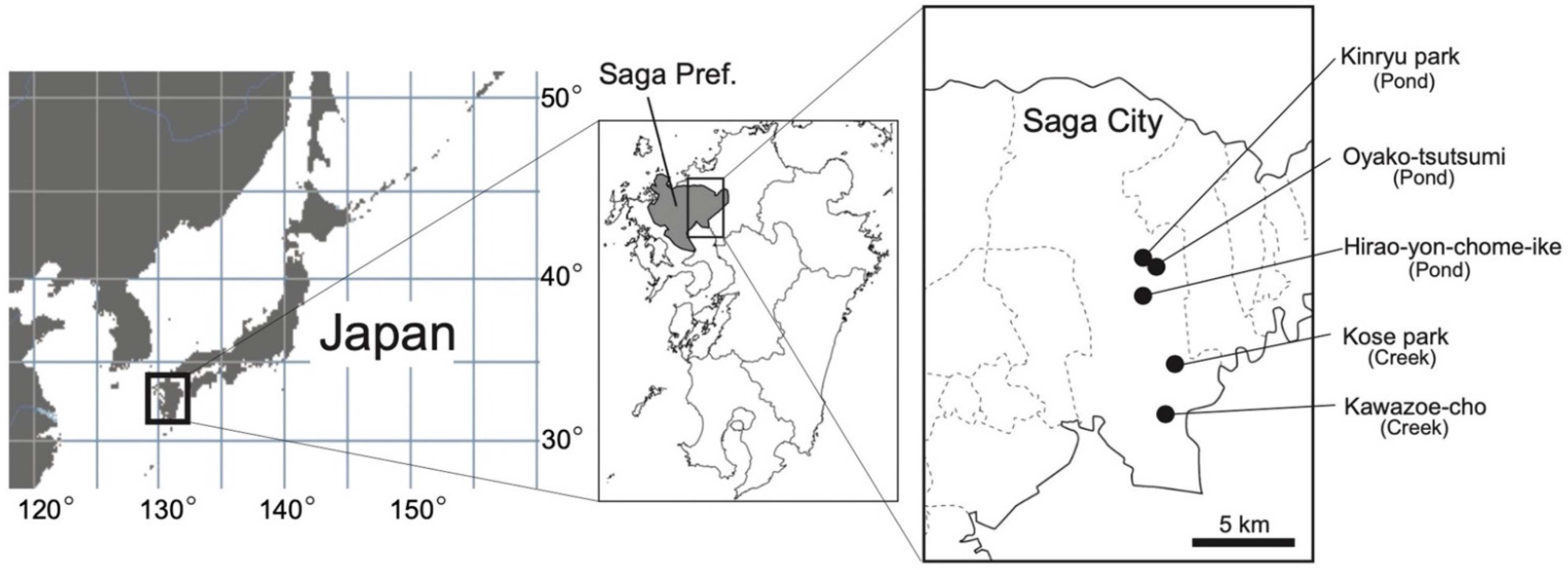 Biomass 01 00008 g001 550
