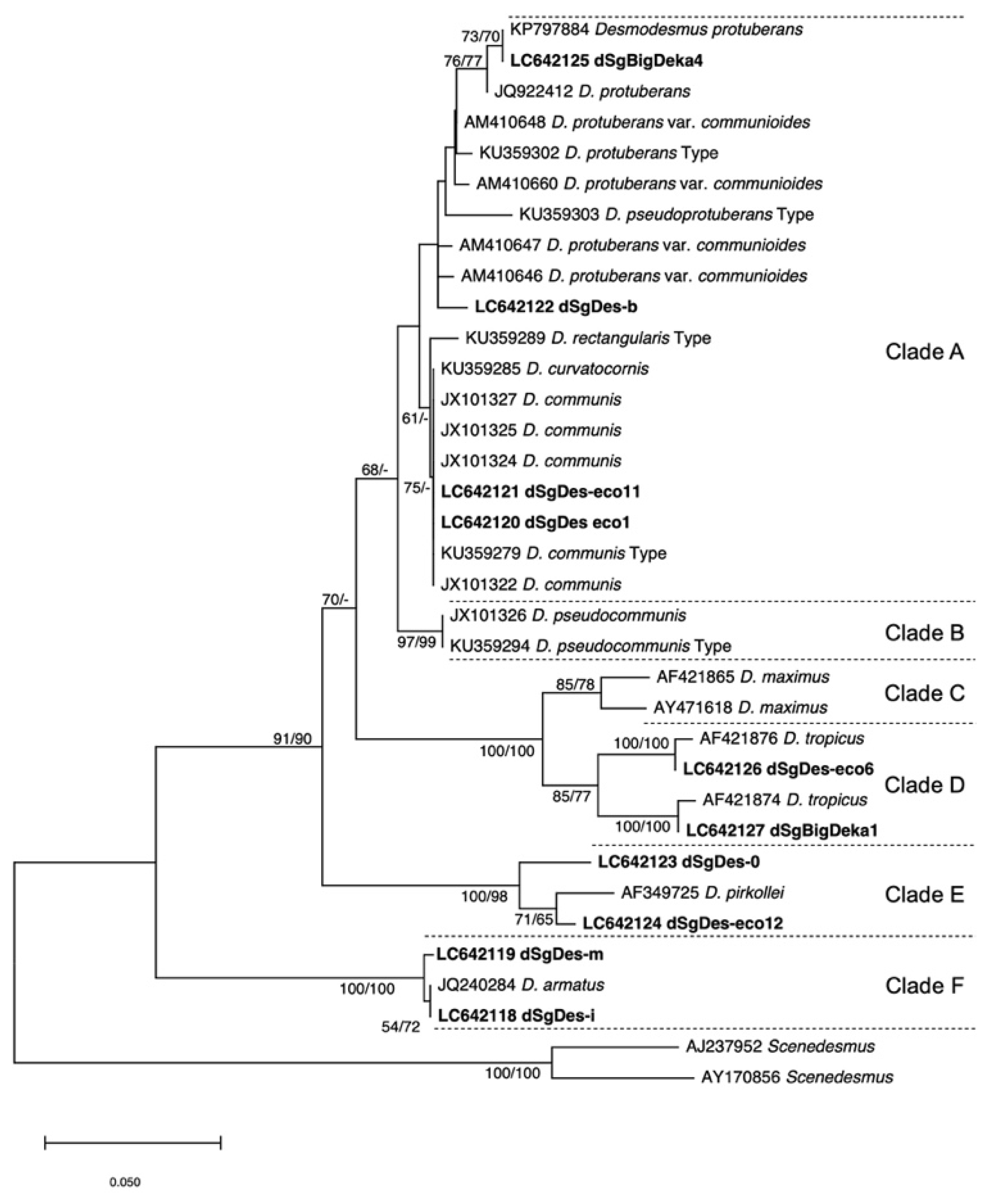 Biomass 01 00008 g005 550