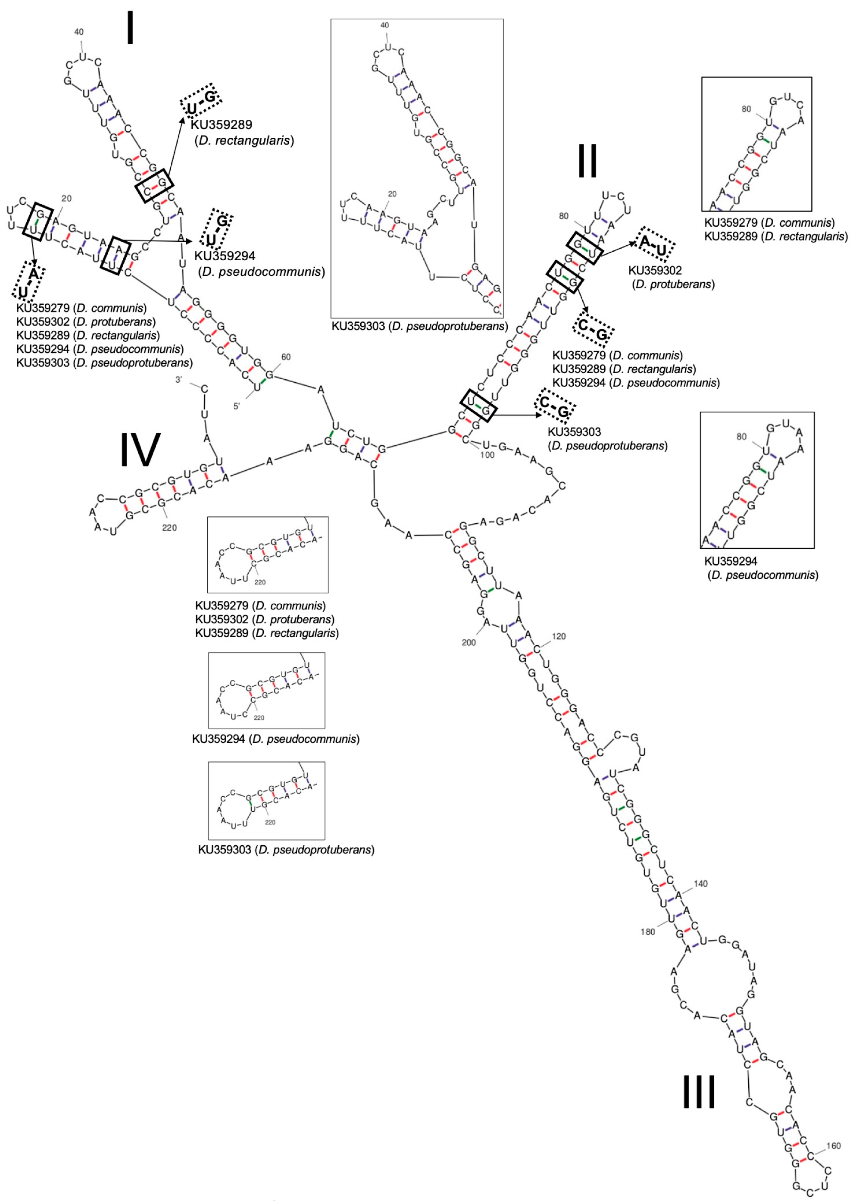 Biomass 01 00008 g006 550