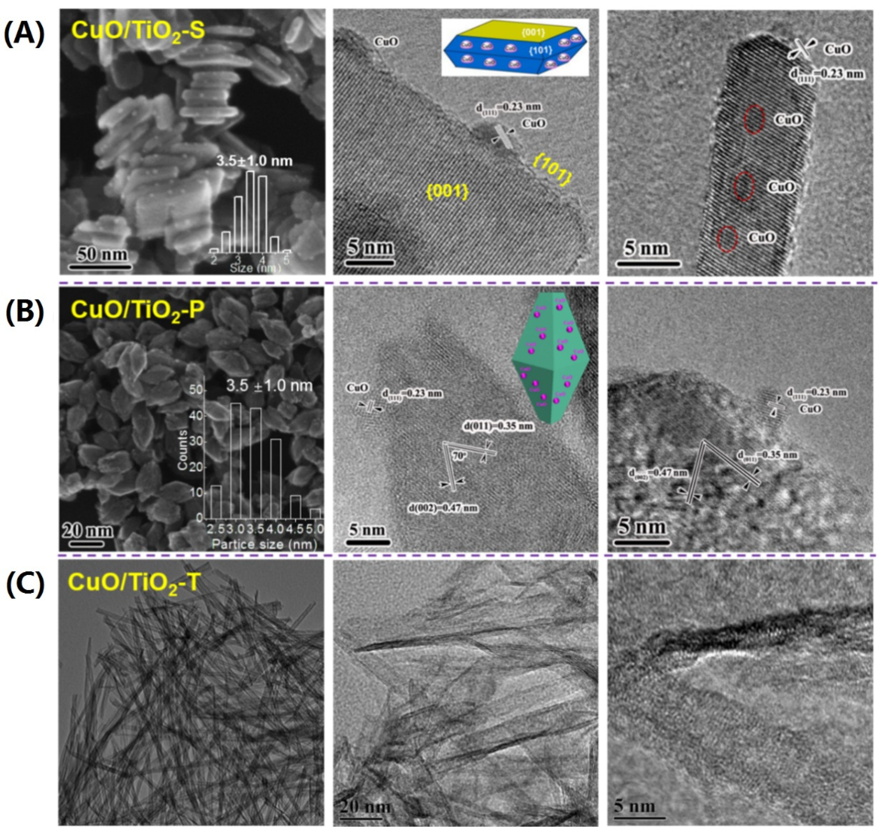 Biomass 02 00007 g003