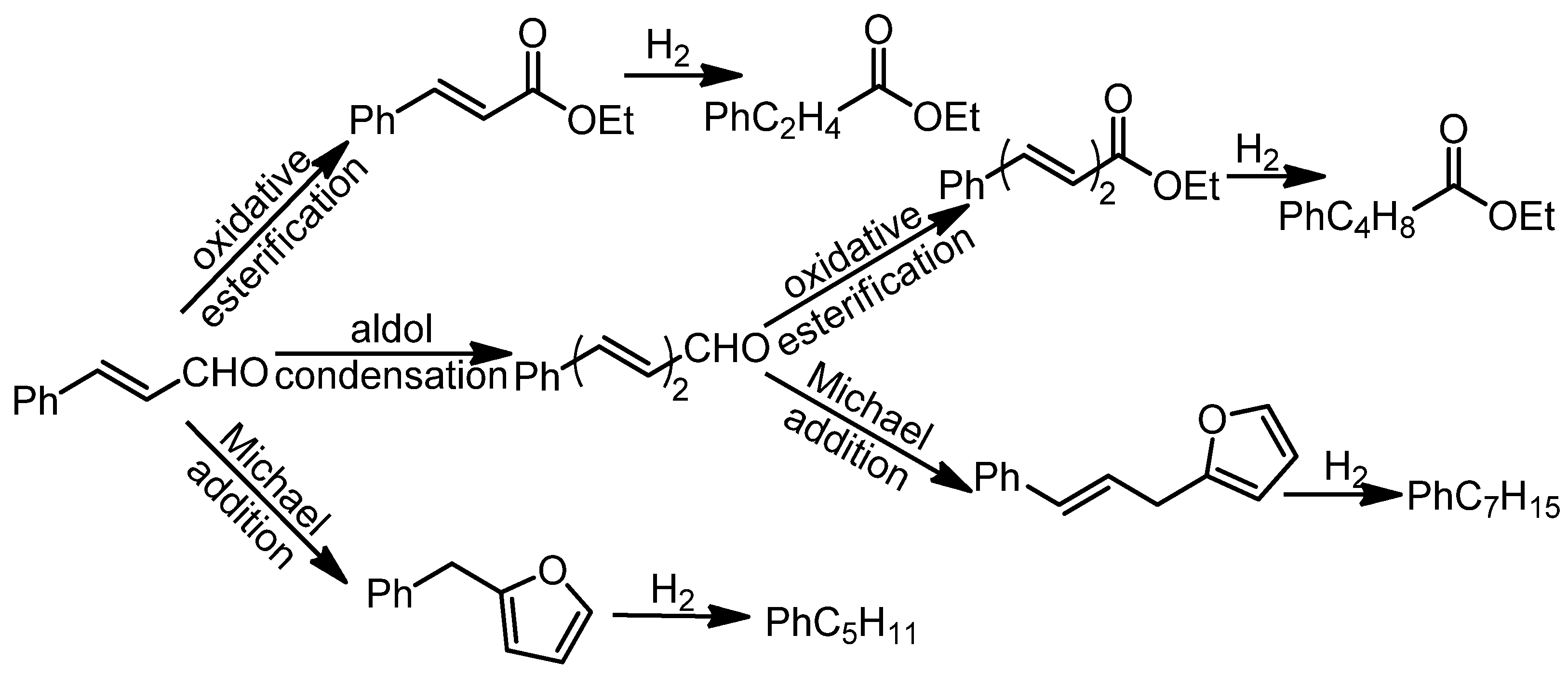 Biomass 02 00007 g007