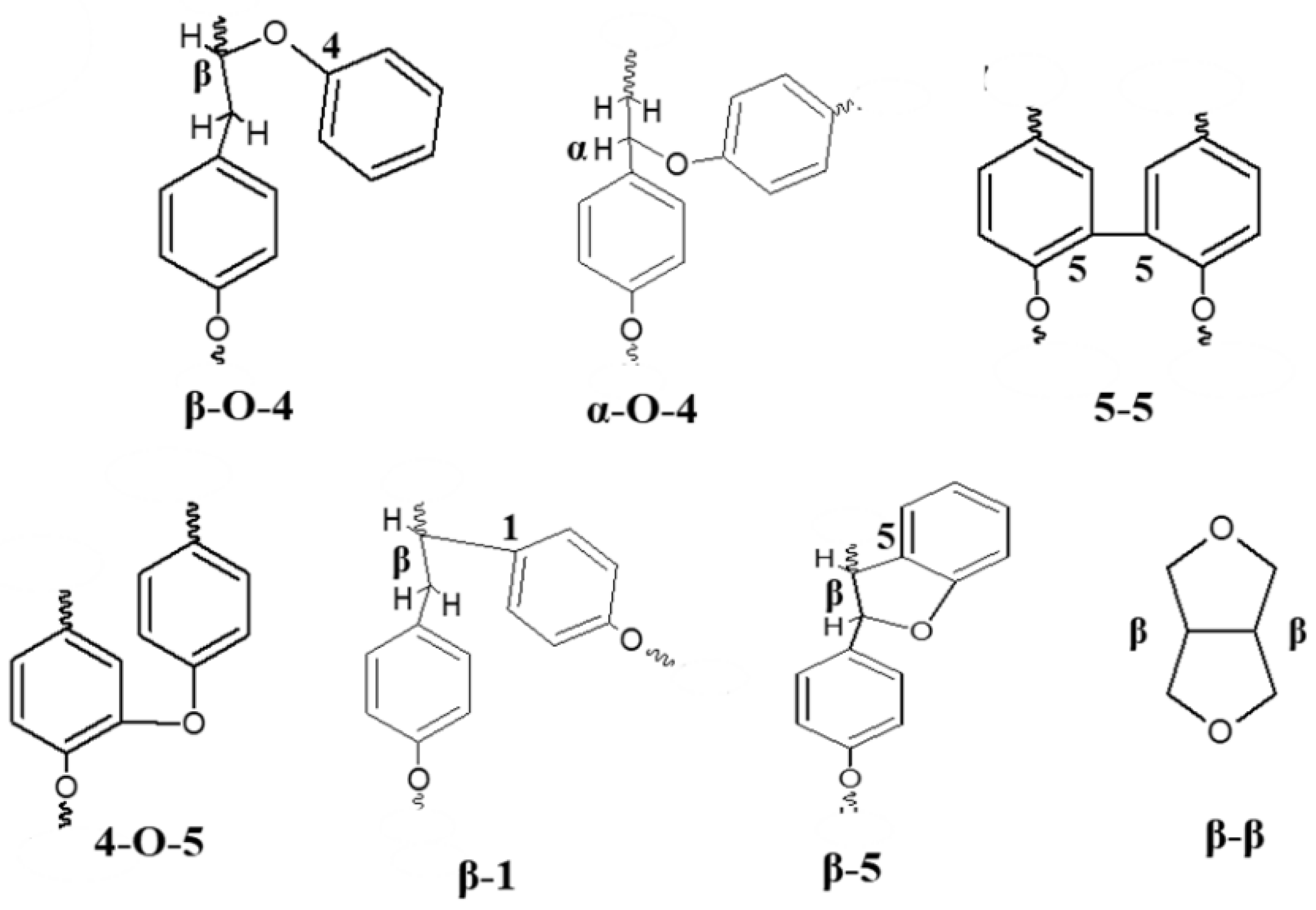 Biomass 02 00009 g002