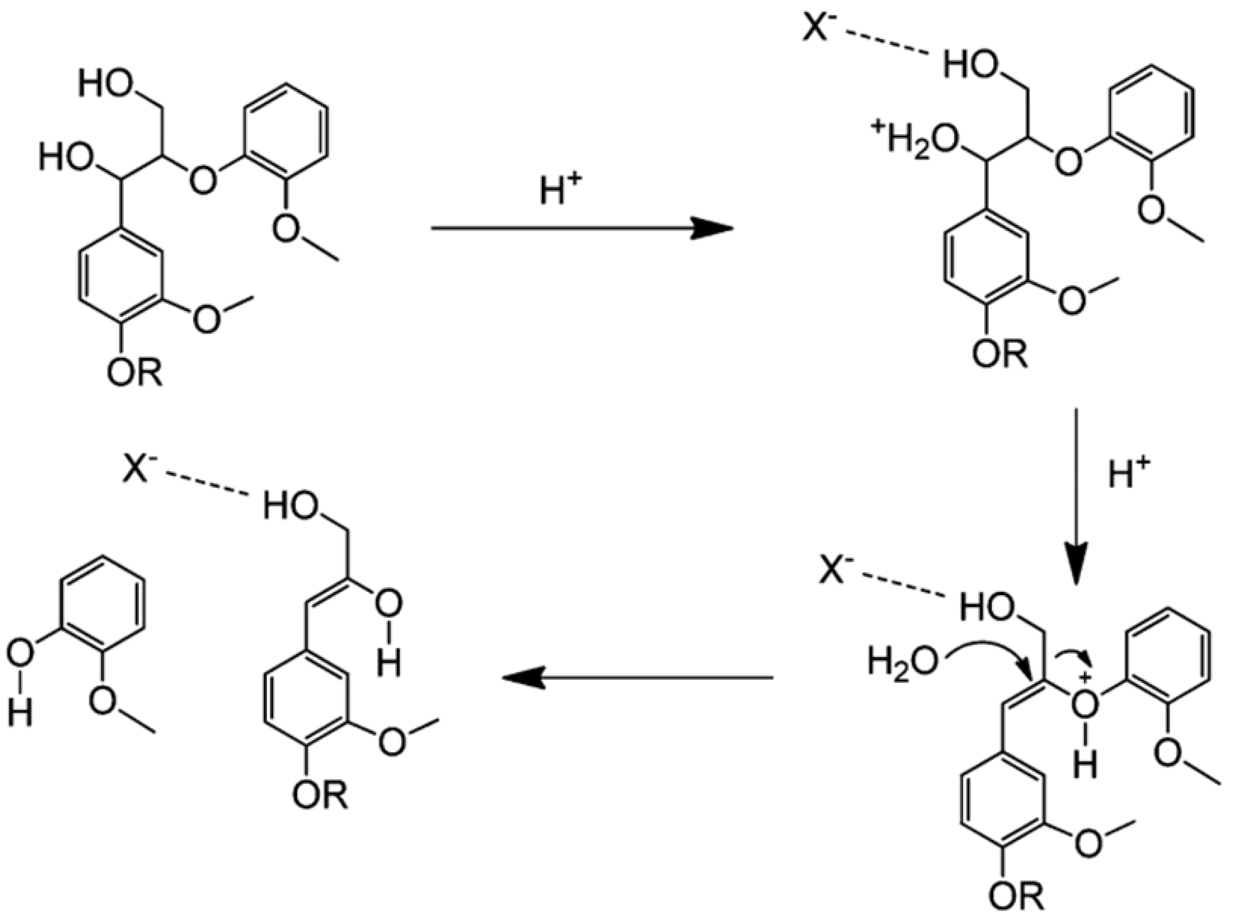 Biomass 02 00009 g006