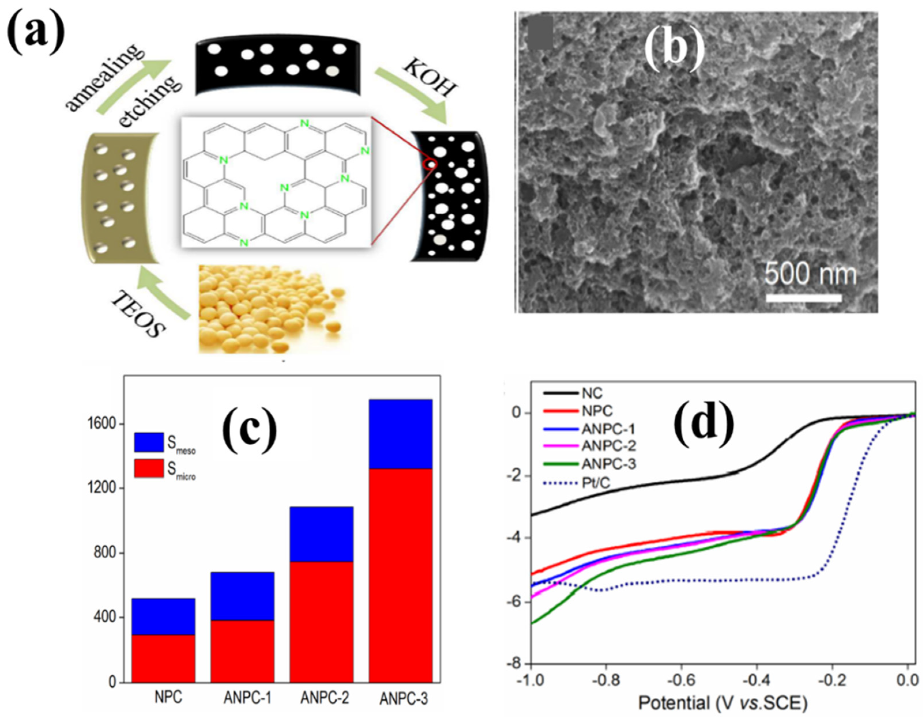 Biomass 02 00010 g006 550