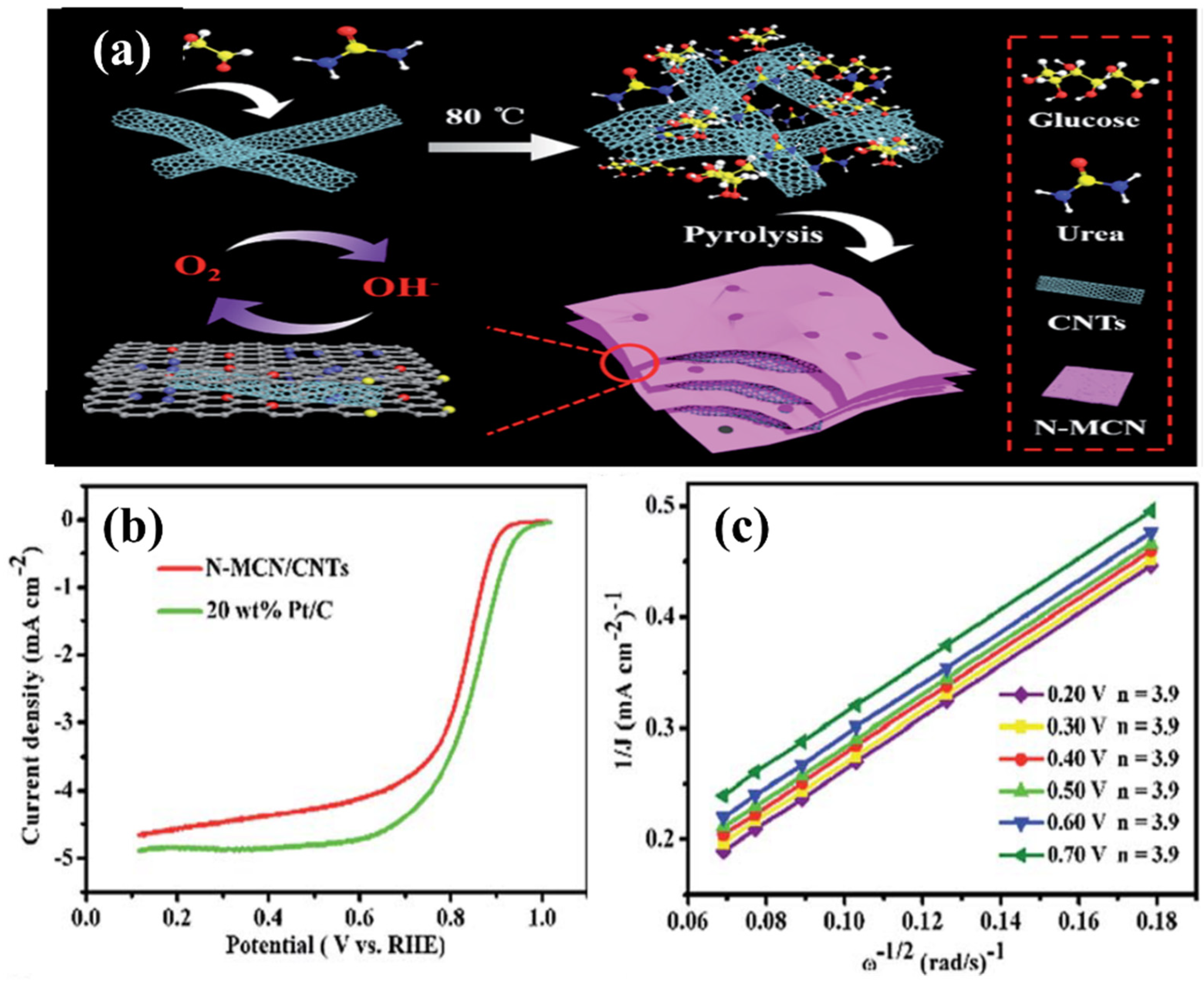 Biomass 02 00010 g009 550
