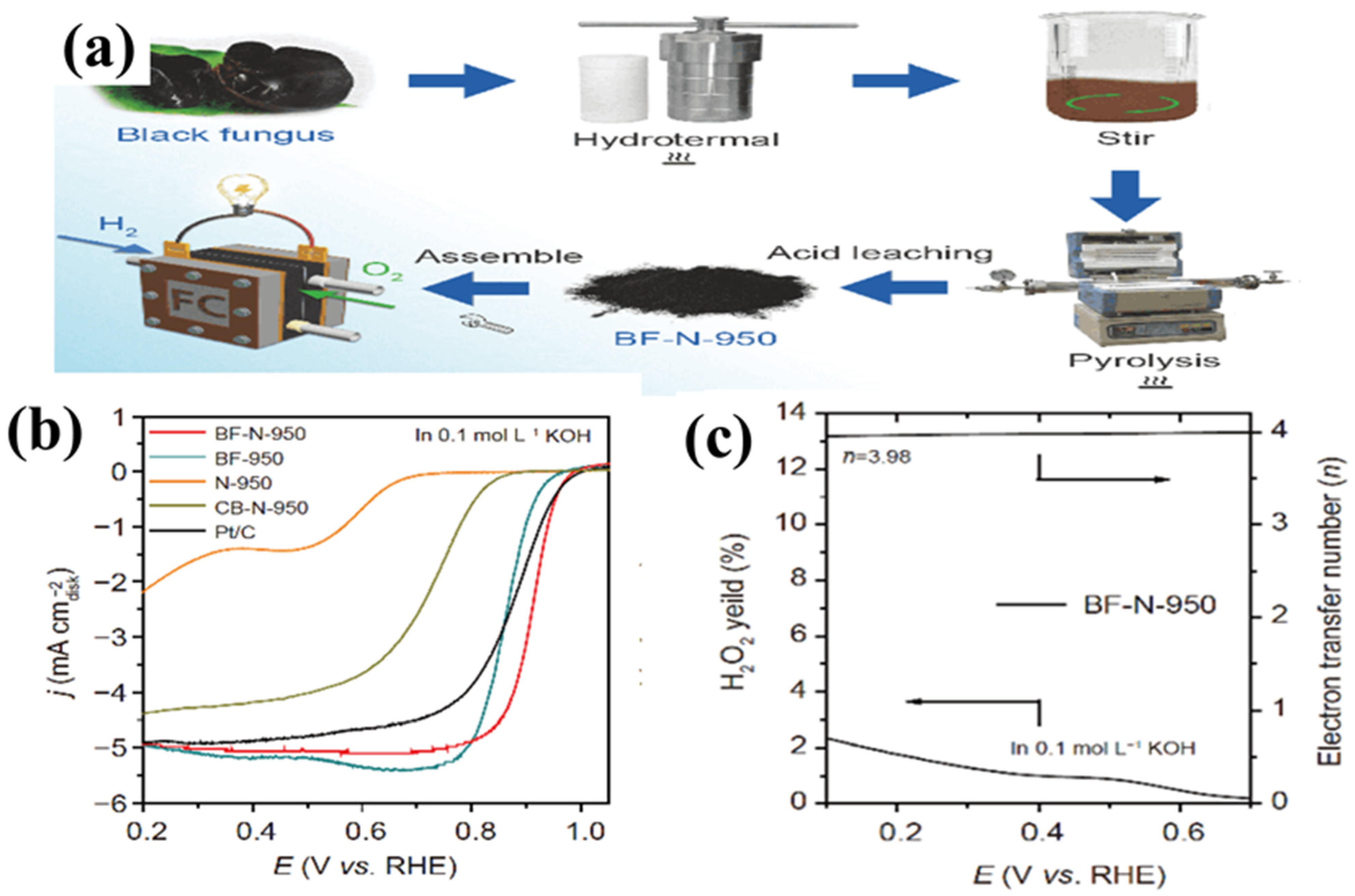 Biomass 02 00010 g013 550