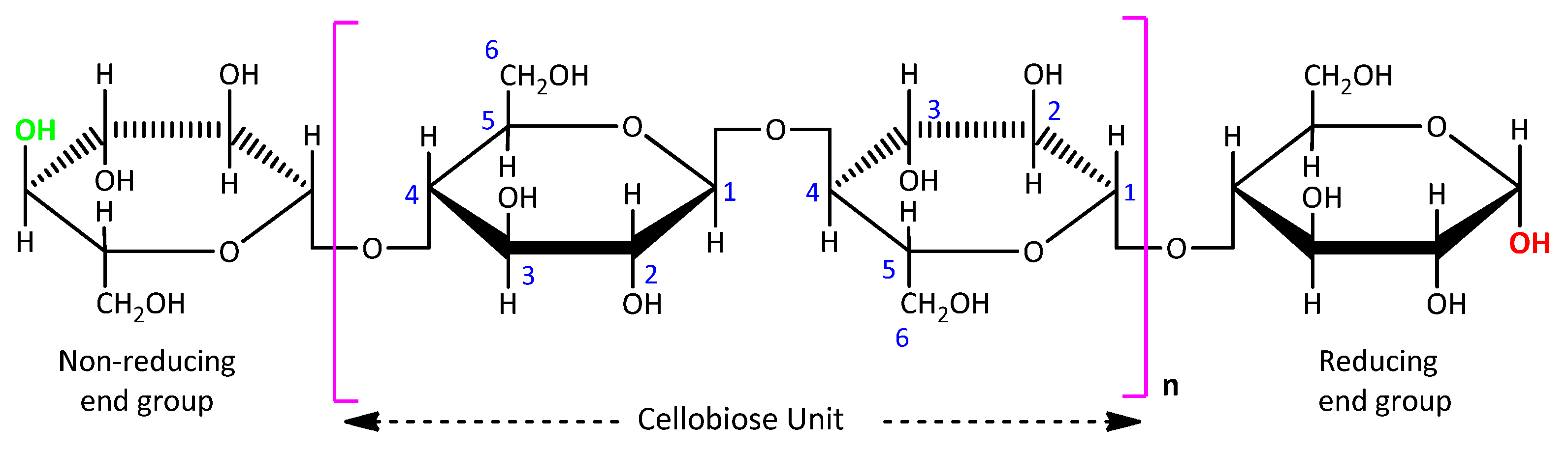 Biomass 02 00021 g001 Biomass 02 00021 g001