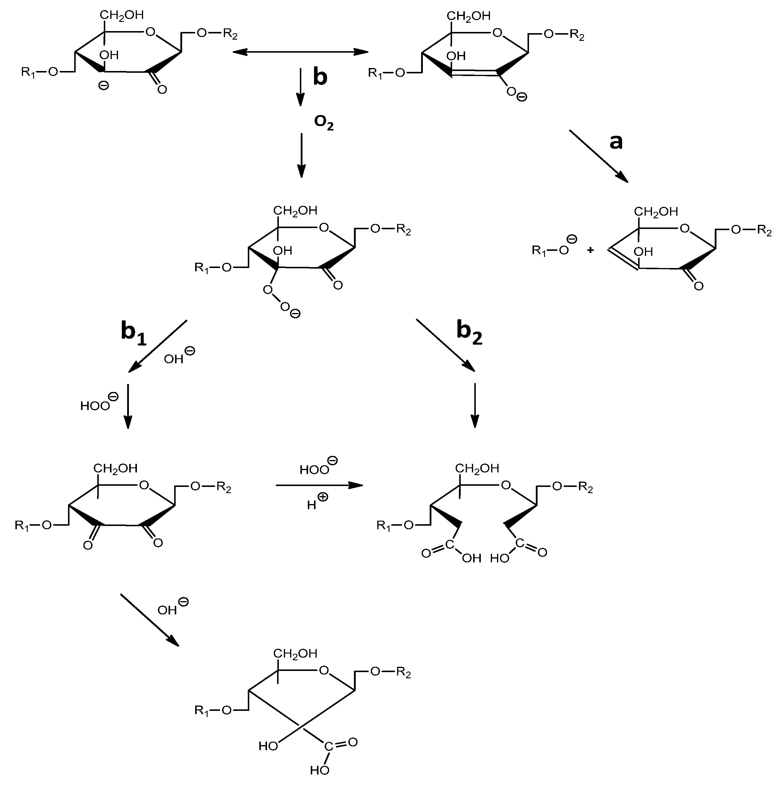 Biomass 02 00021 g002 Biomass 02 00021 g002