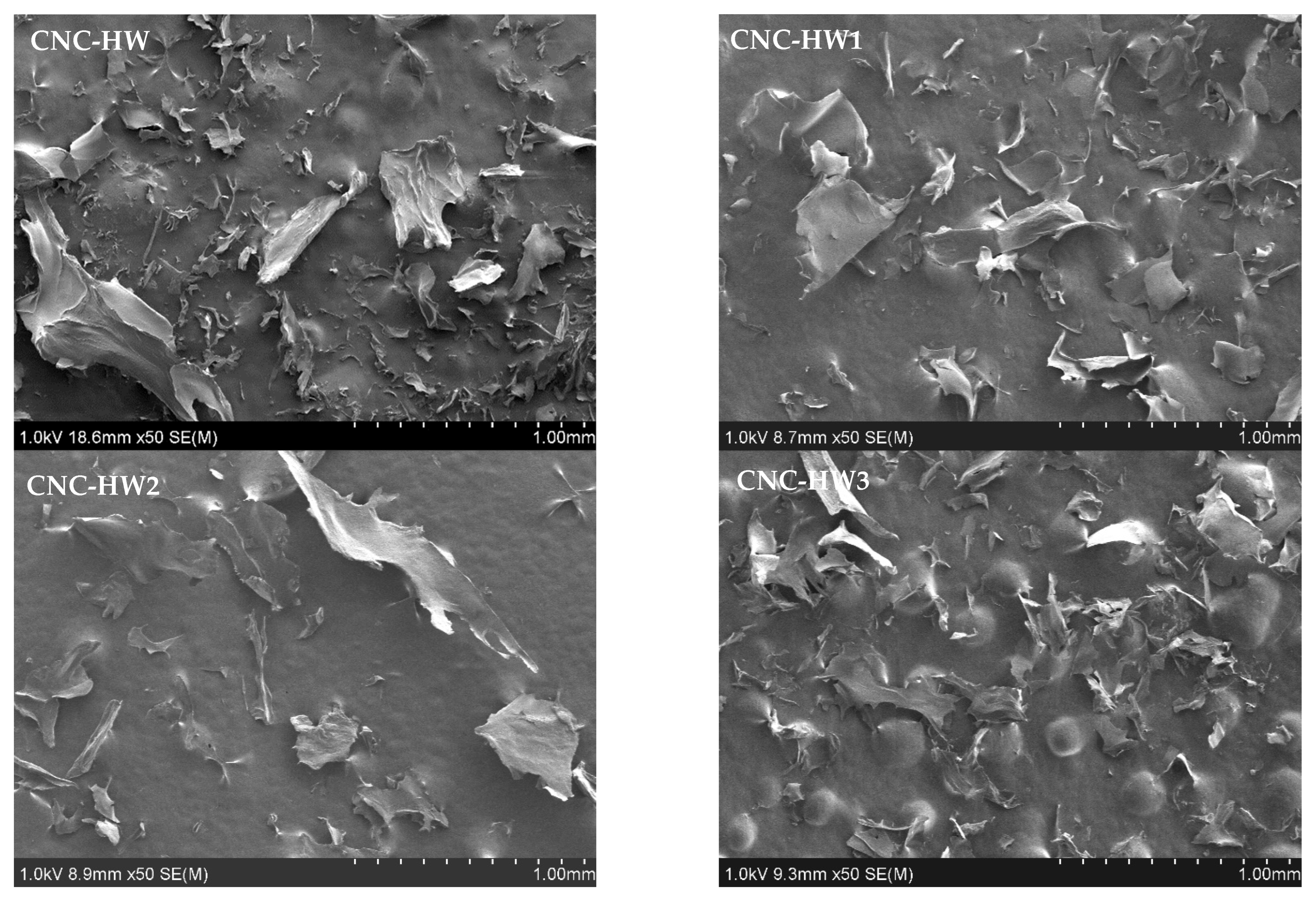 Biomass 02 00021 g013 Biomass 02 00021 g013
