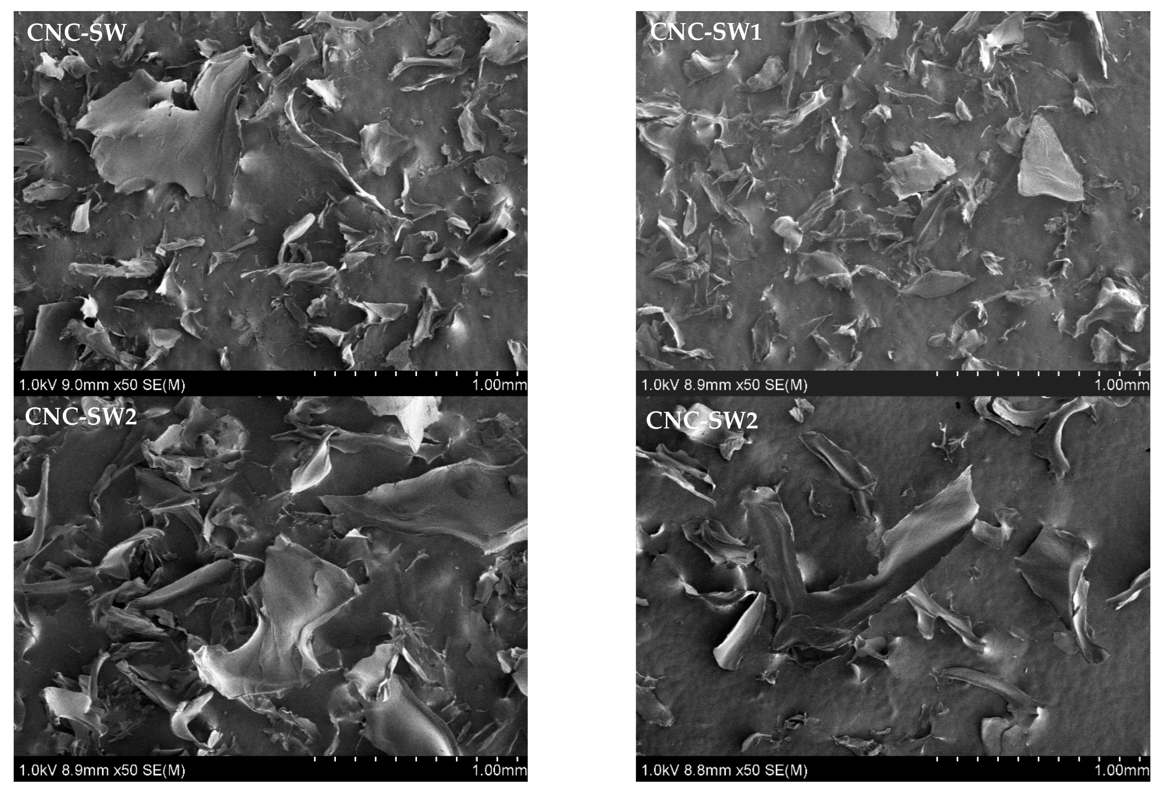 Biomass 02 00021 g014 Biomass 02 00021 g014