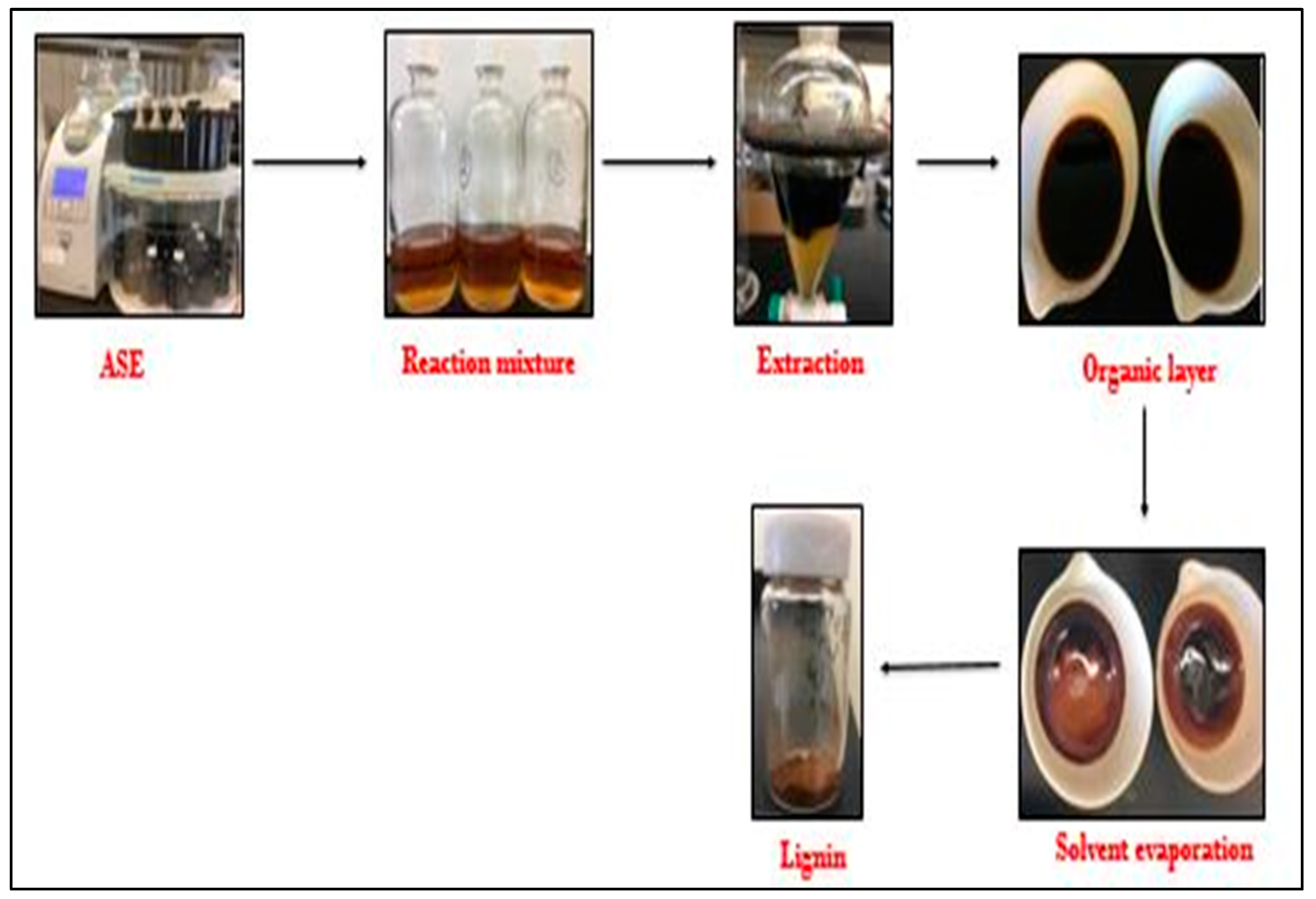 Biomass Free FullText Extraction and Depolymerization of Lignin