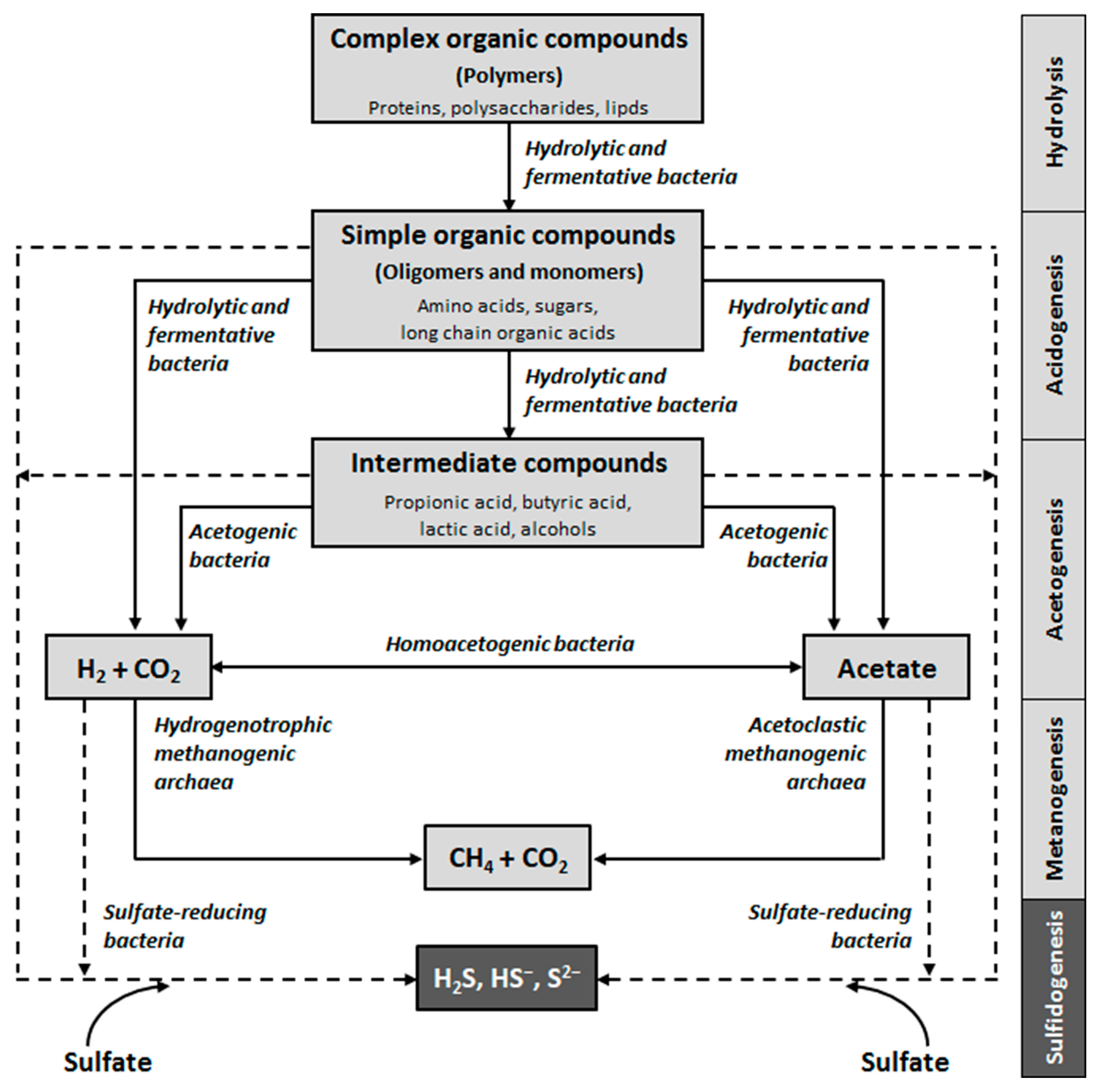 Biomass 02 00025 g002