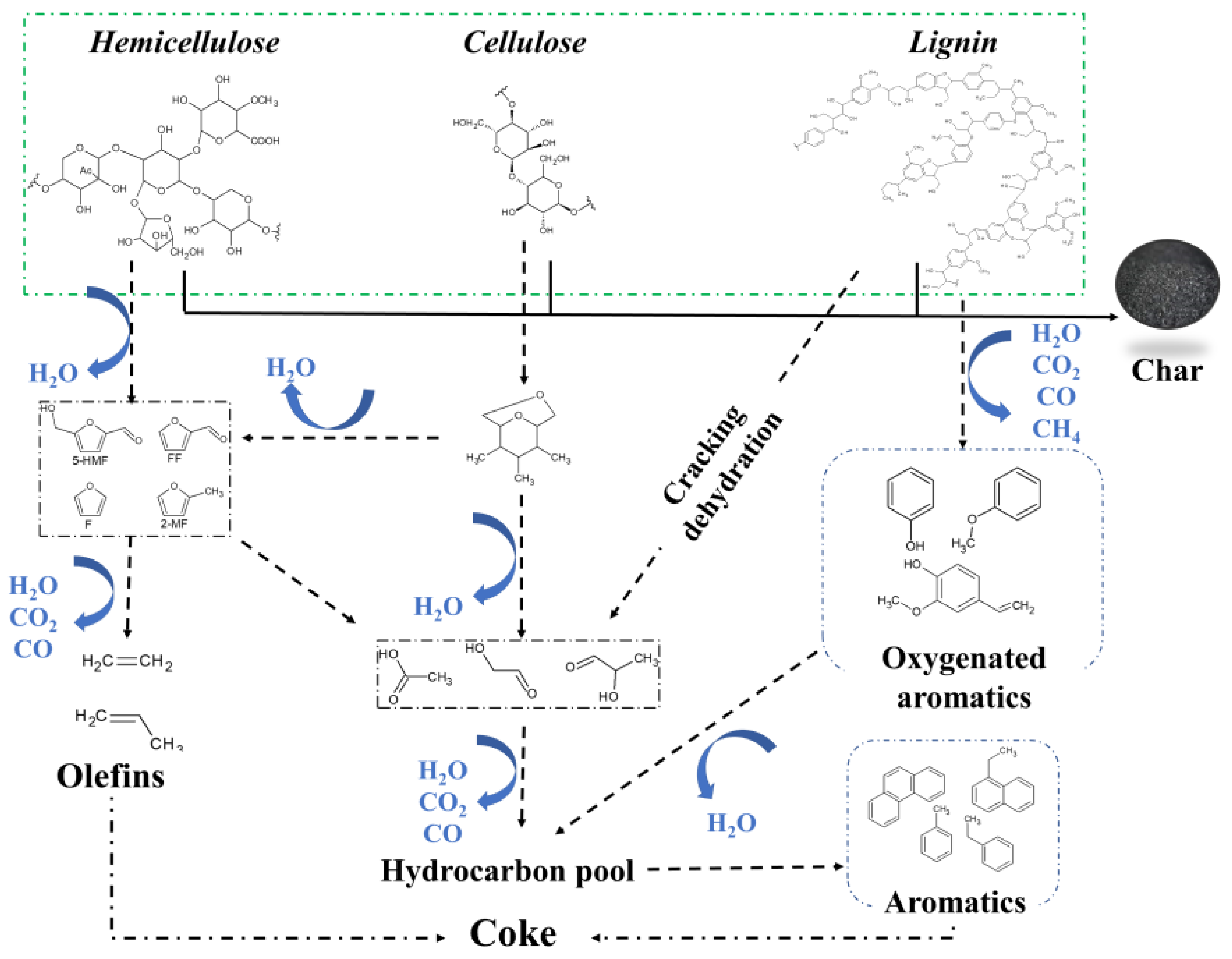 Biomass 03 00003 g003 Biomass 03 00003 g003