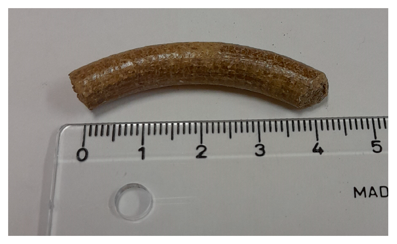 Biomass 03 00006 g006