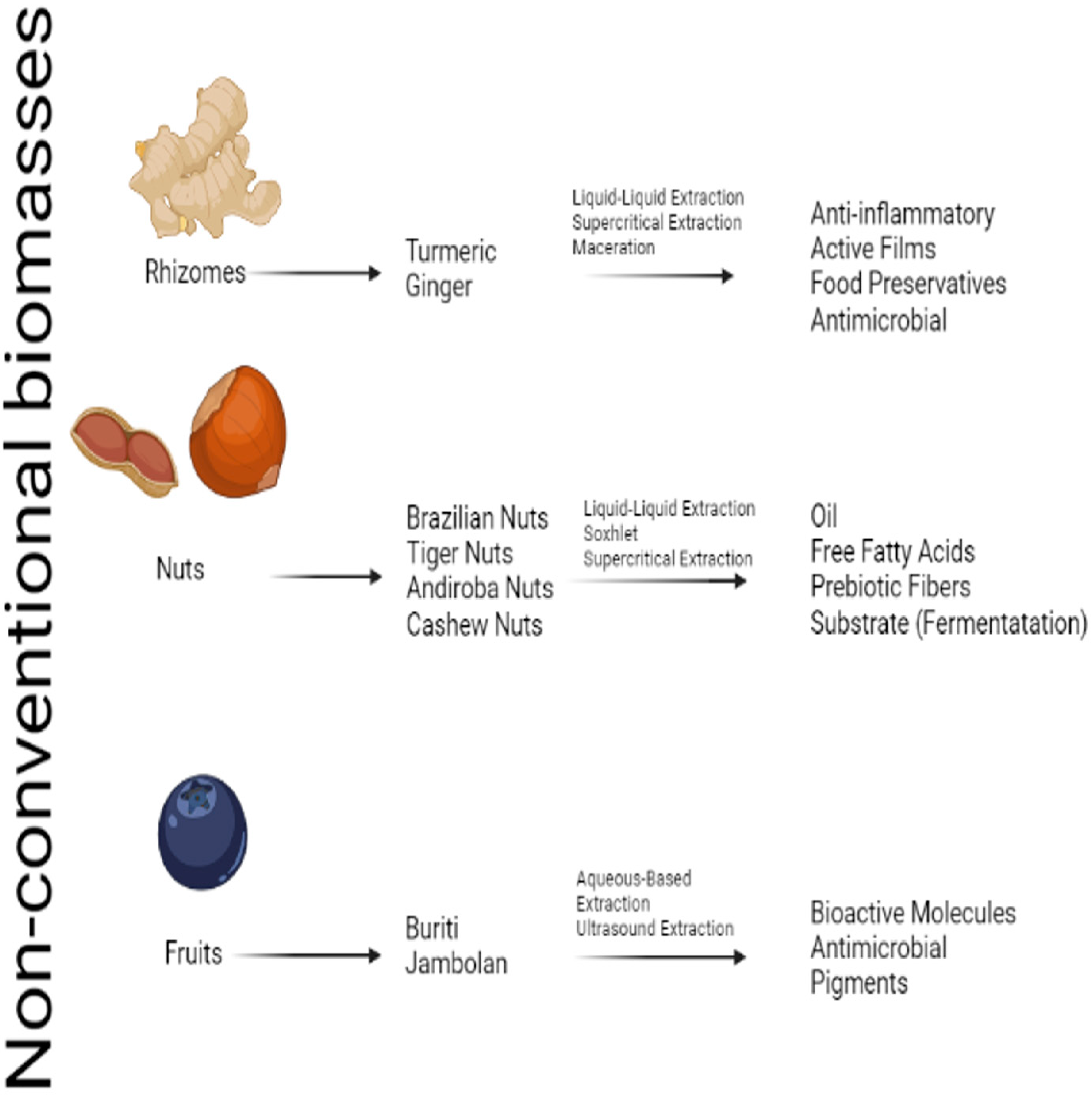 Biomass 03 00009 g002