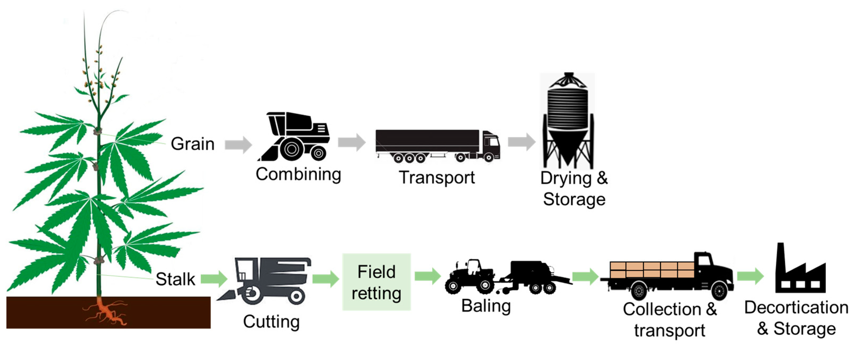 Biomass 04 00008 g001