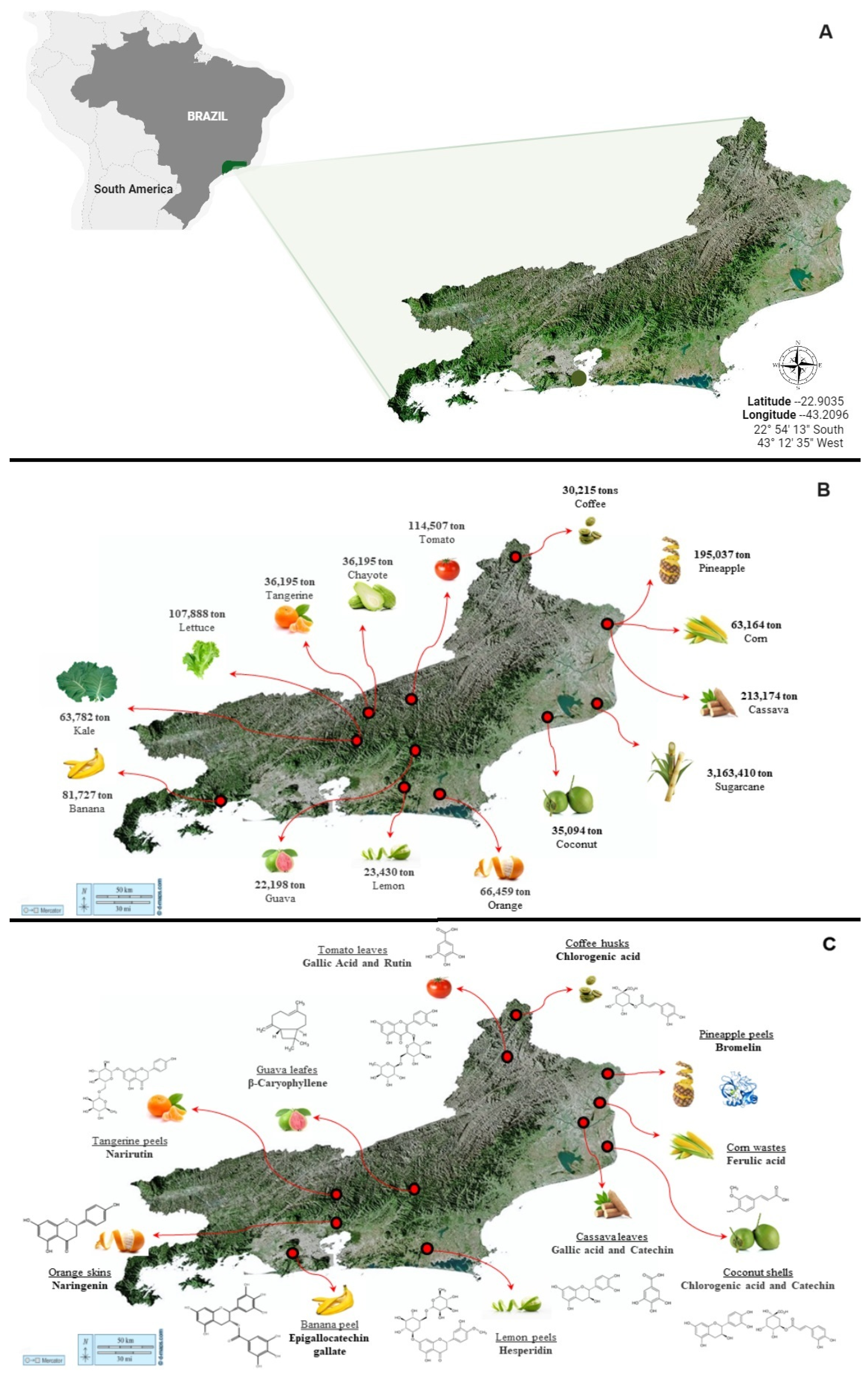 Biomass 04 00011 g001