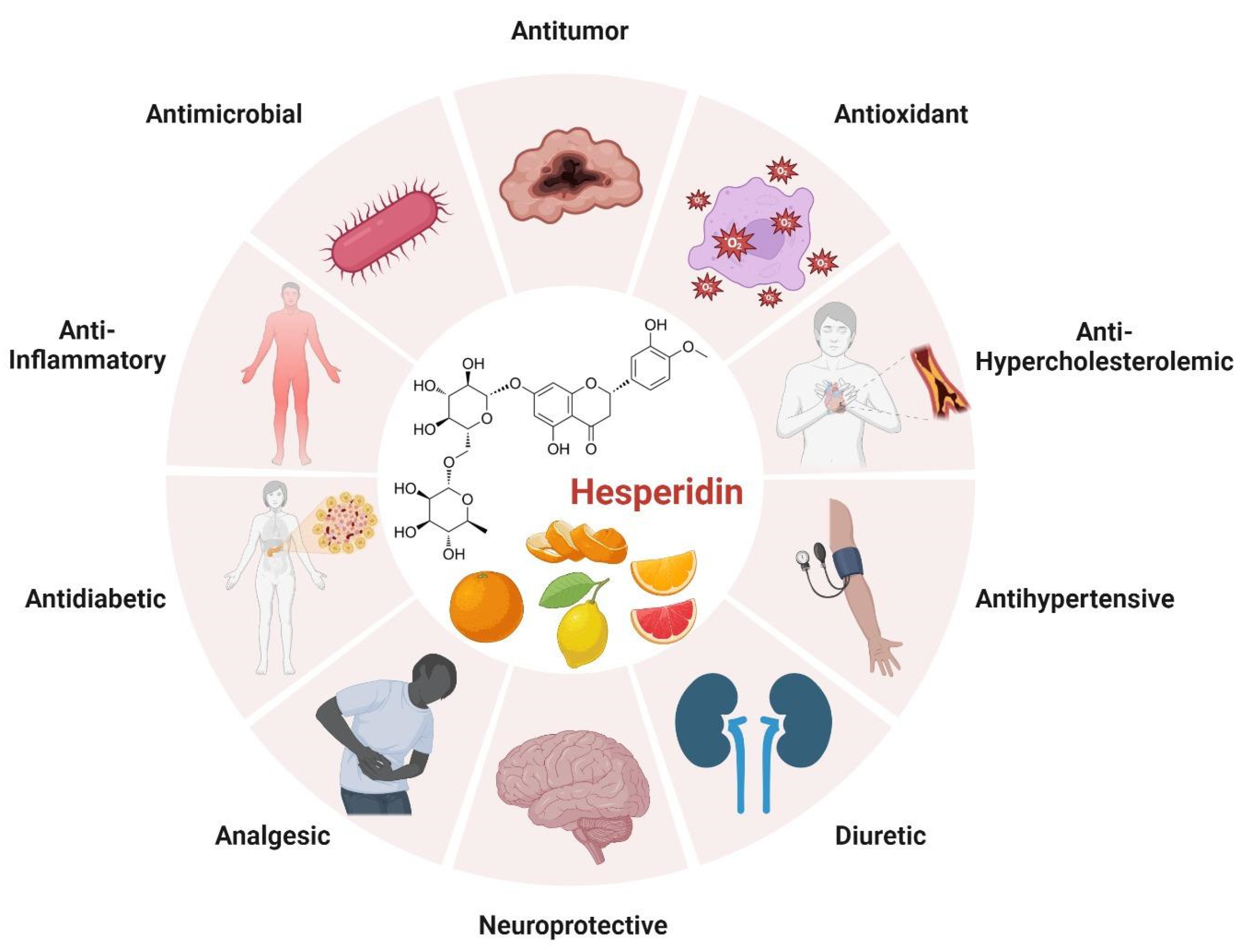 Biomass 04 00011 g006