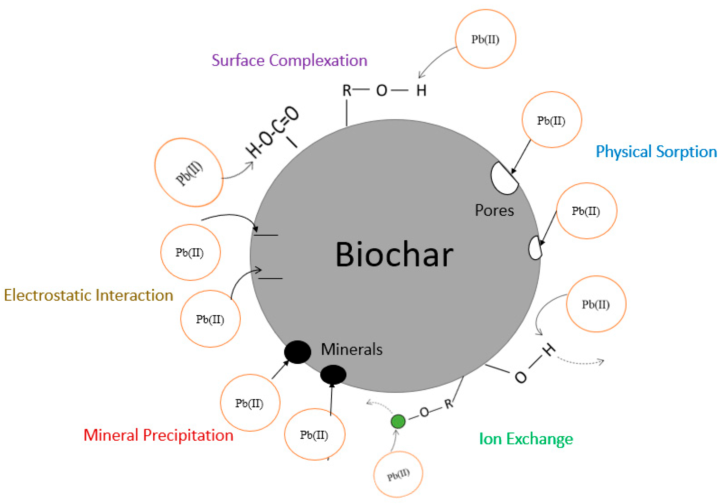 Biomass 04 00012 g003