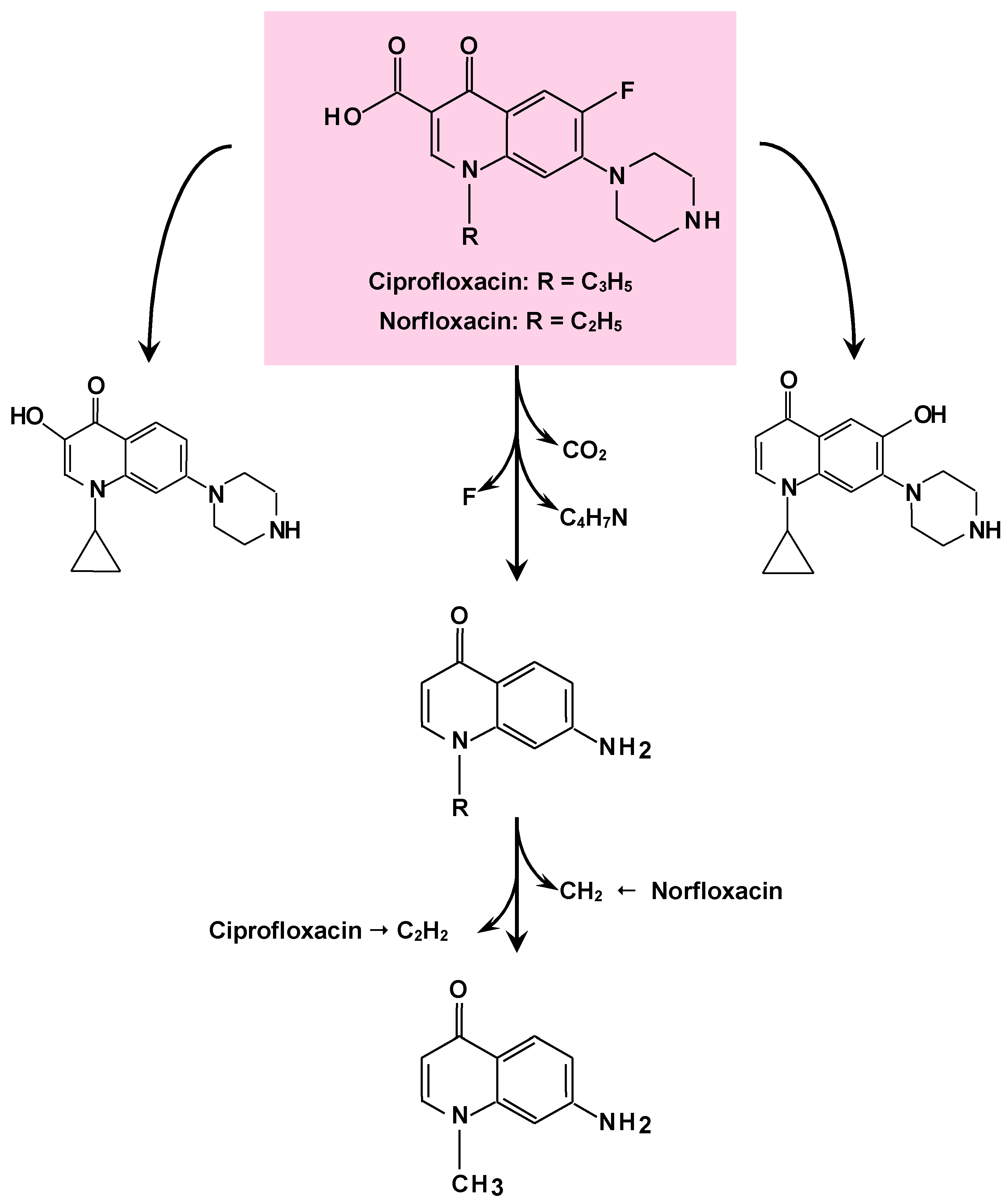 Biomass 04 00015 g003 Biomass 04 00015 g003