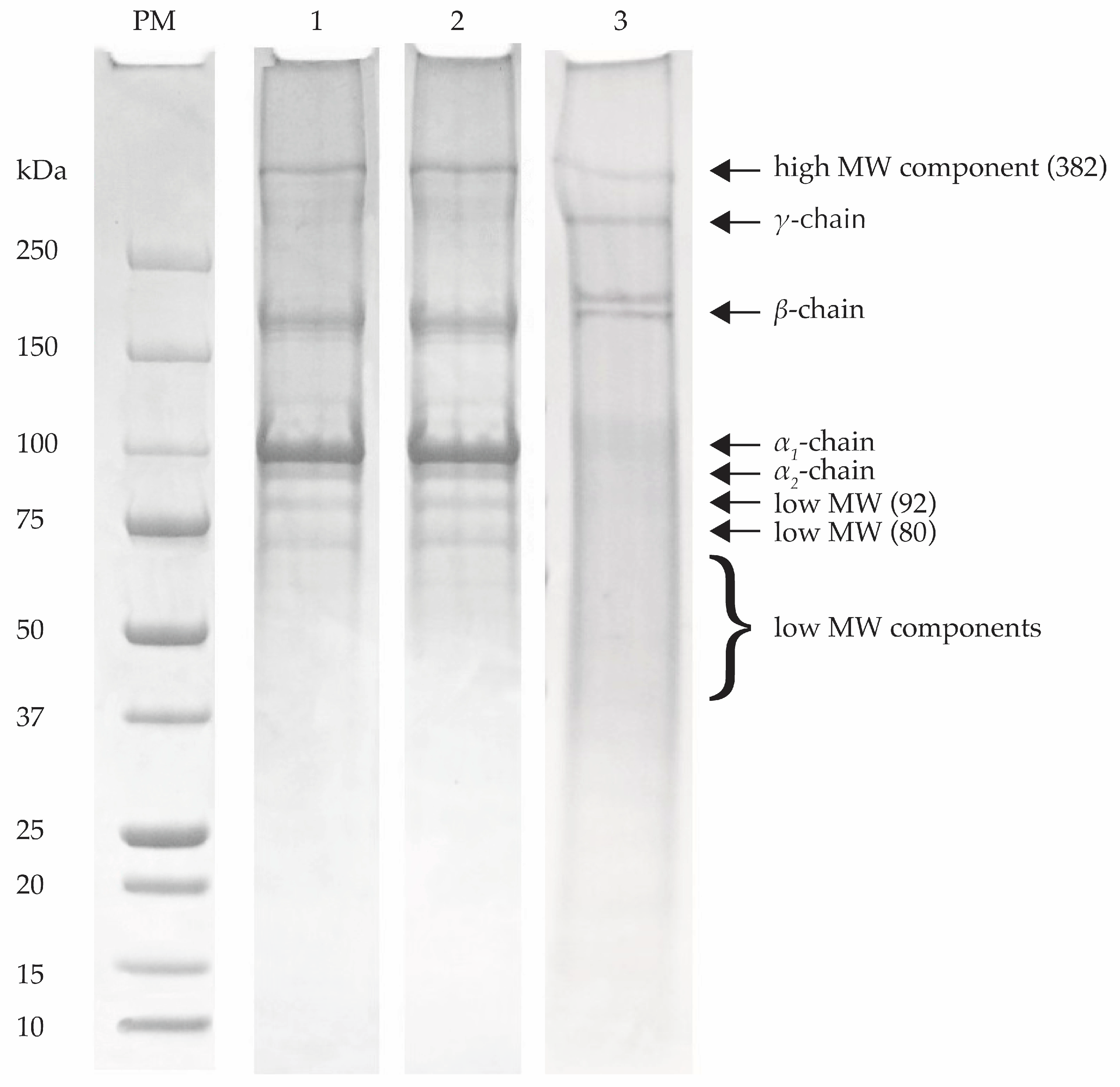 Biomass 04 00017 g001