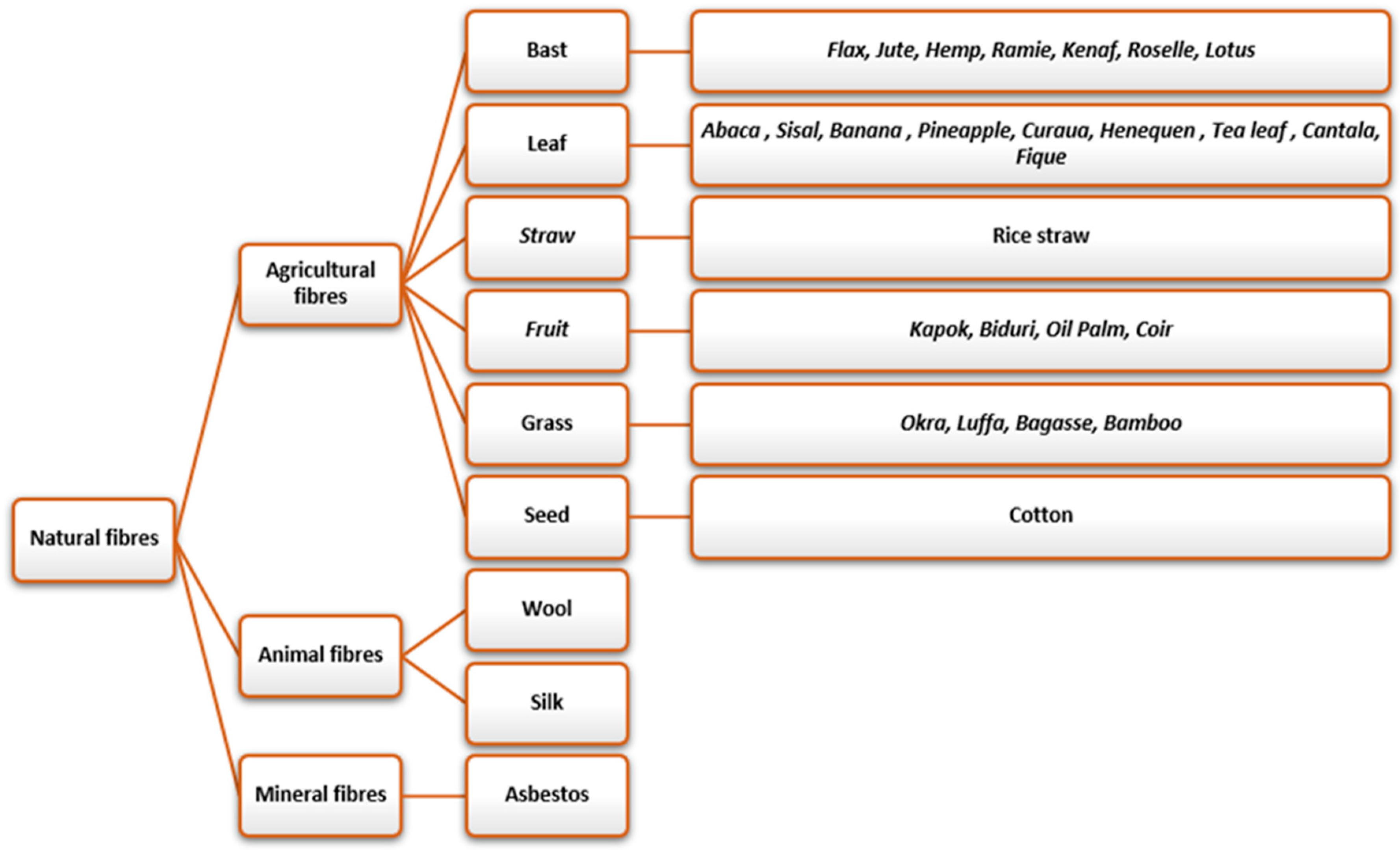 Biomass 04 00018 g003