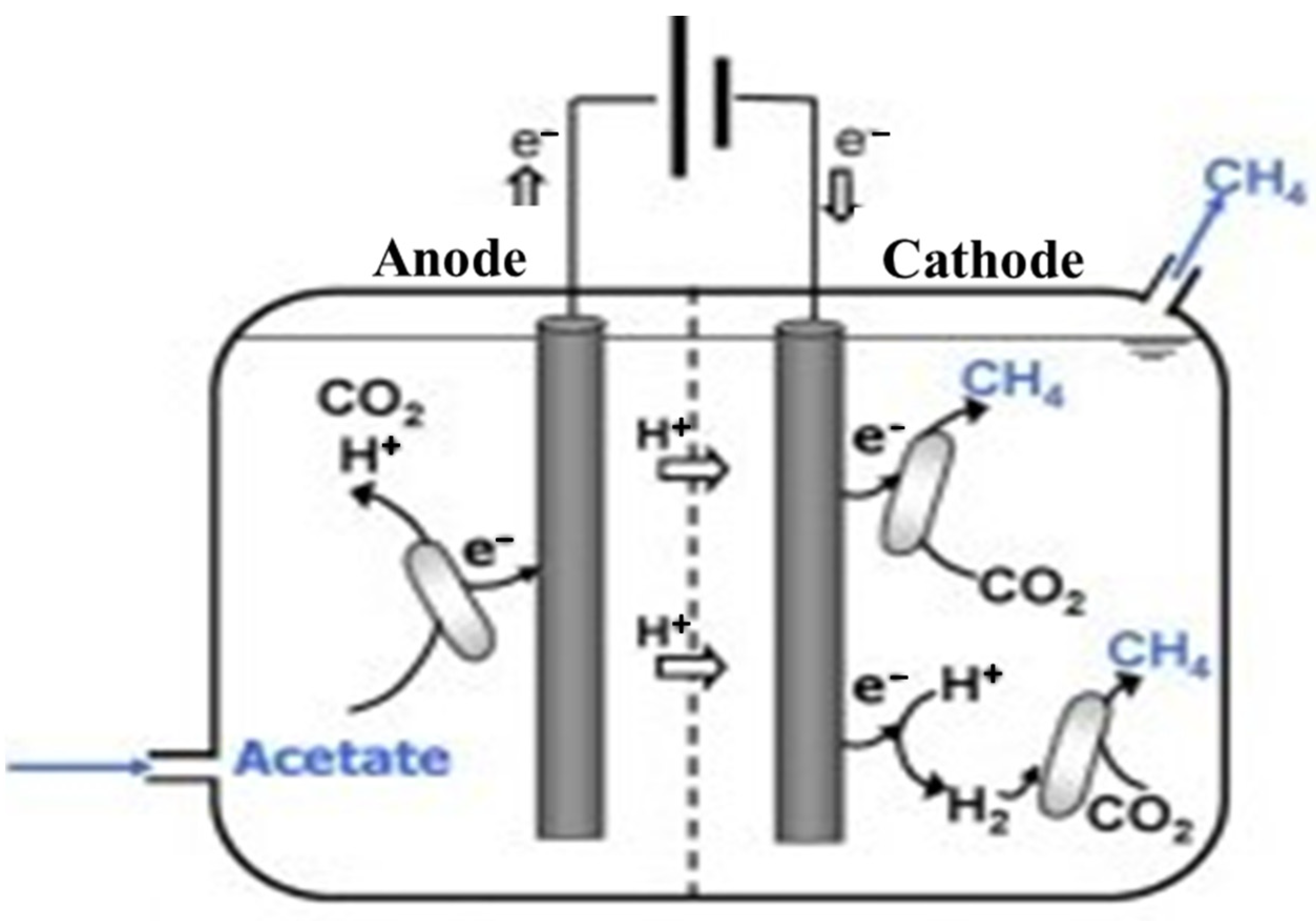Biomass 04 00023 g001
