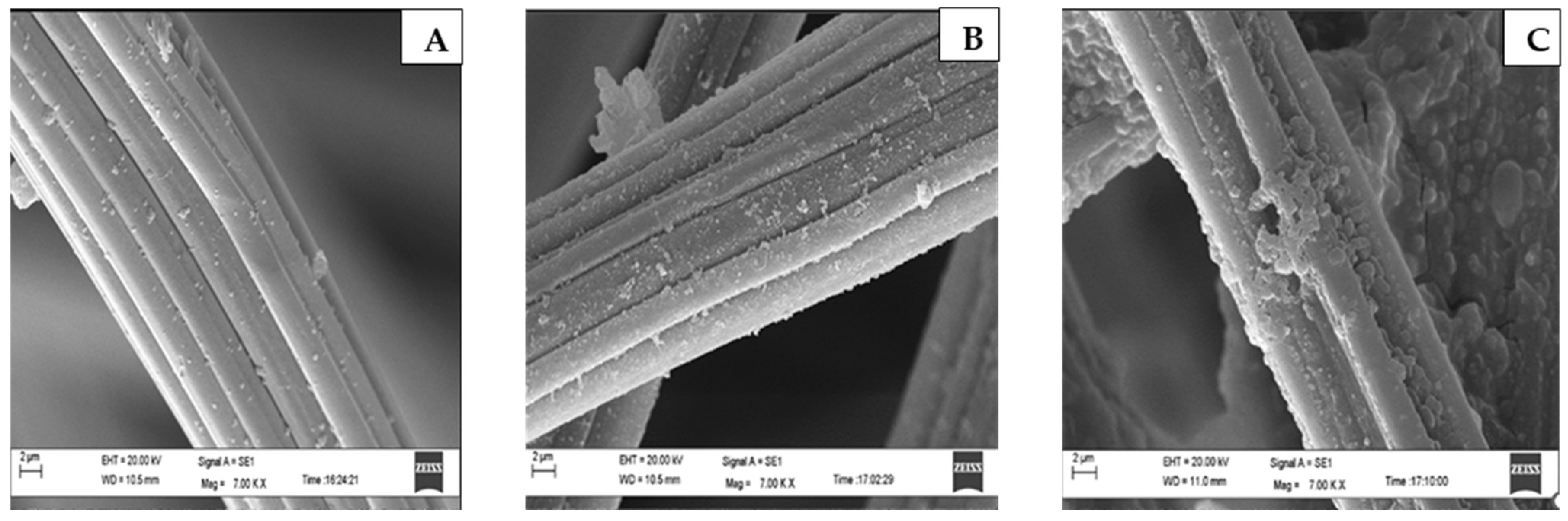 Biomass 04 00023 g008