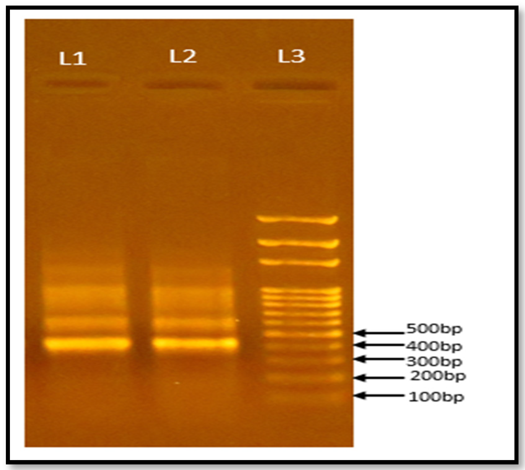 Biomass 04 00023 g010
