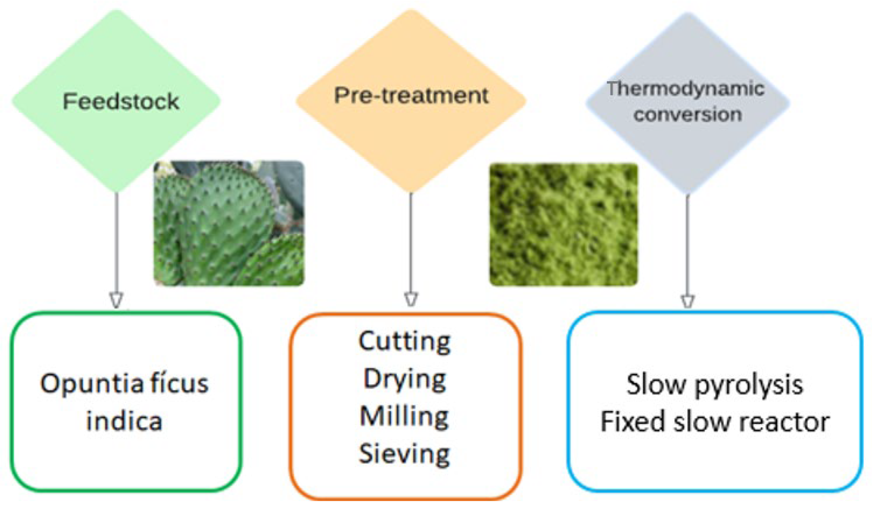 Biomass 04 00029 g007
