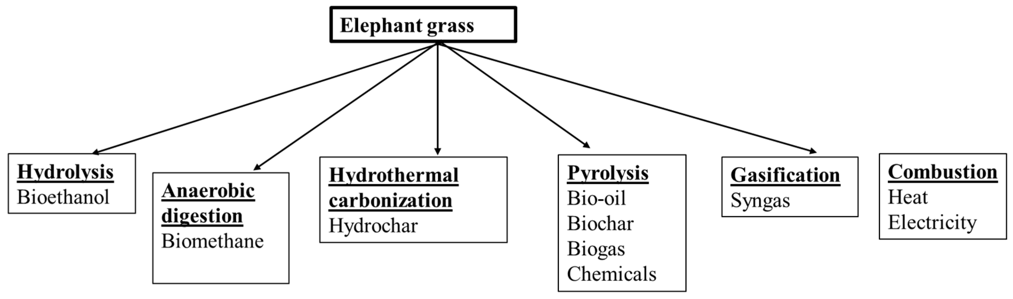 Biomass 04 00034 g002
