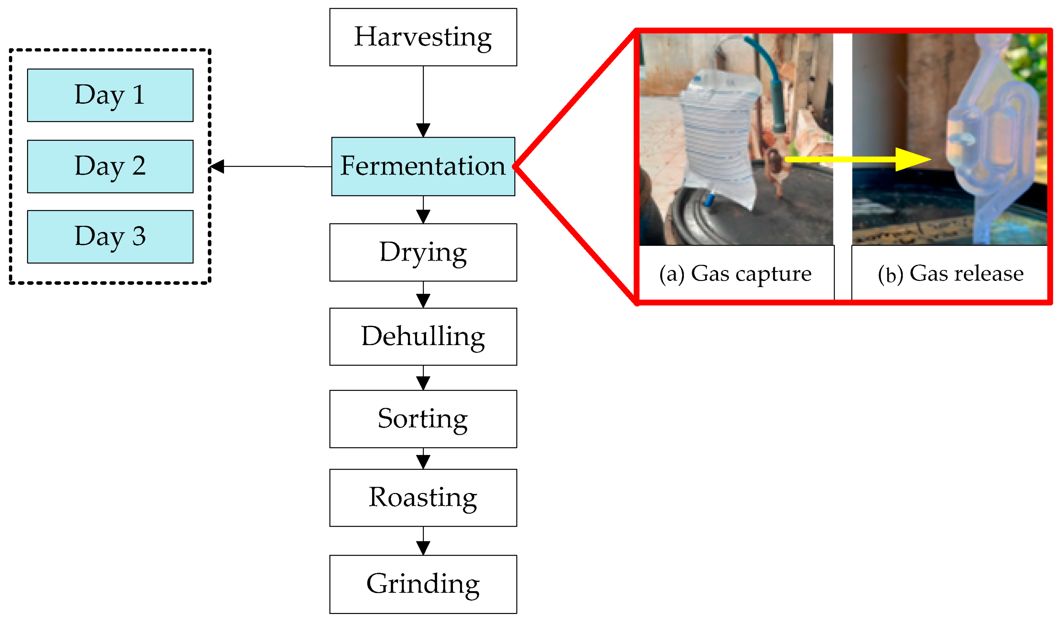 Biomass 04 00047 g004 Biomass 04 00047 g004