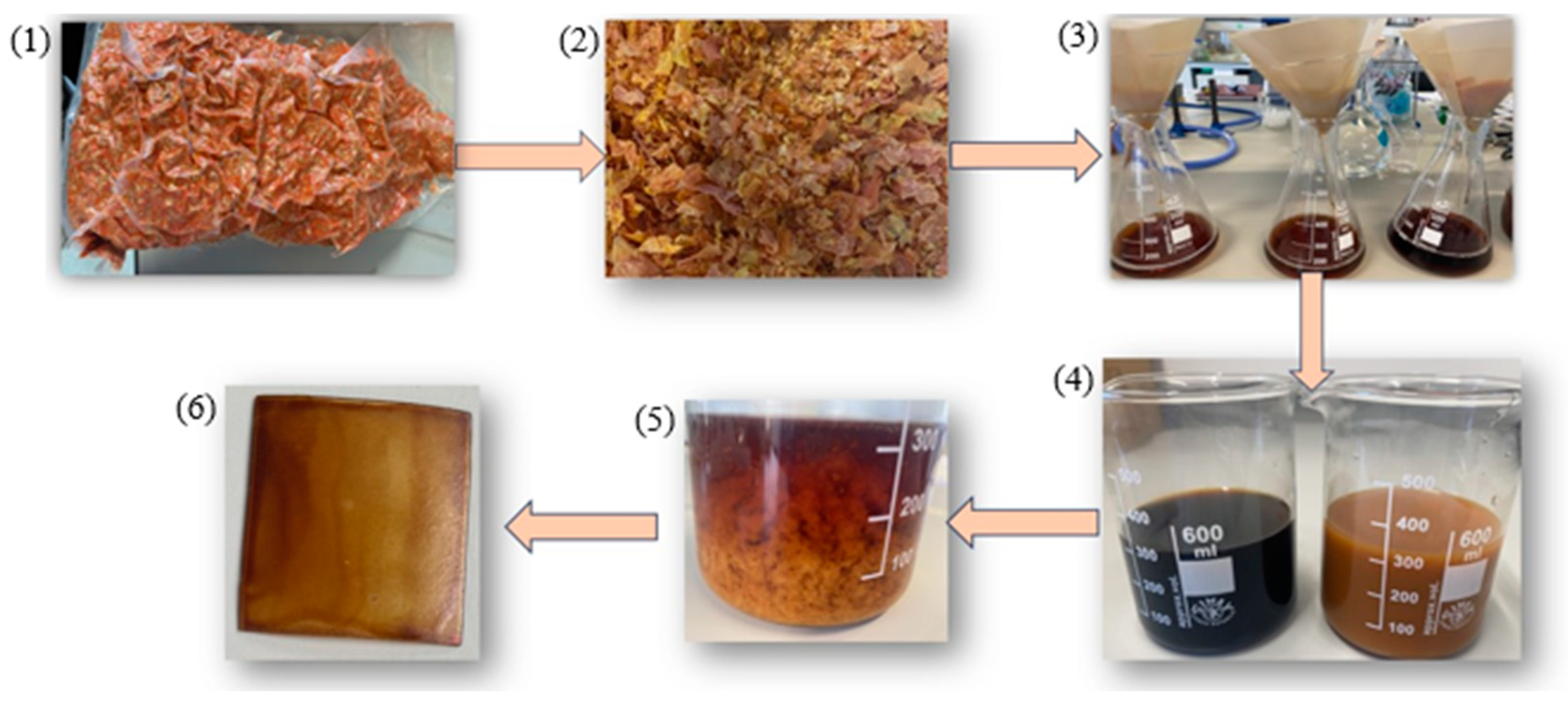 Biomass 04 00055 g001