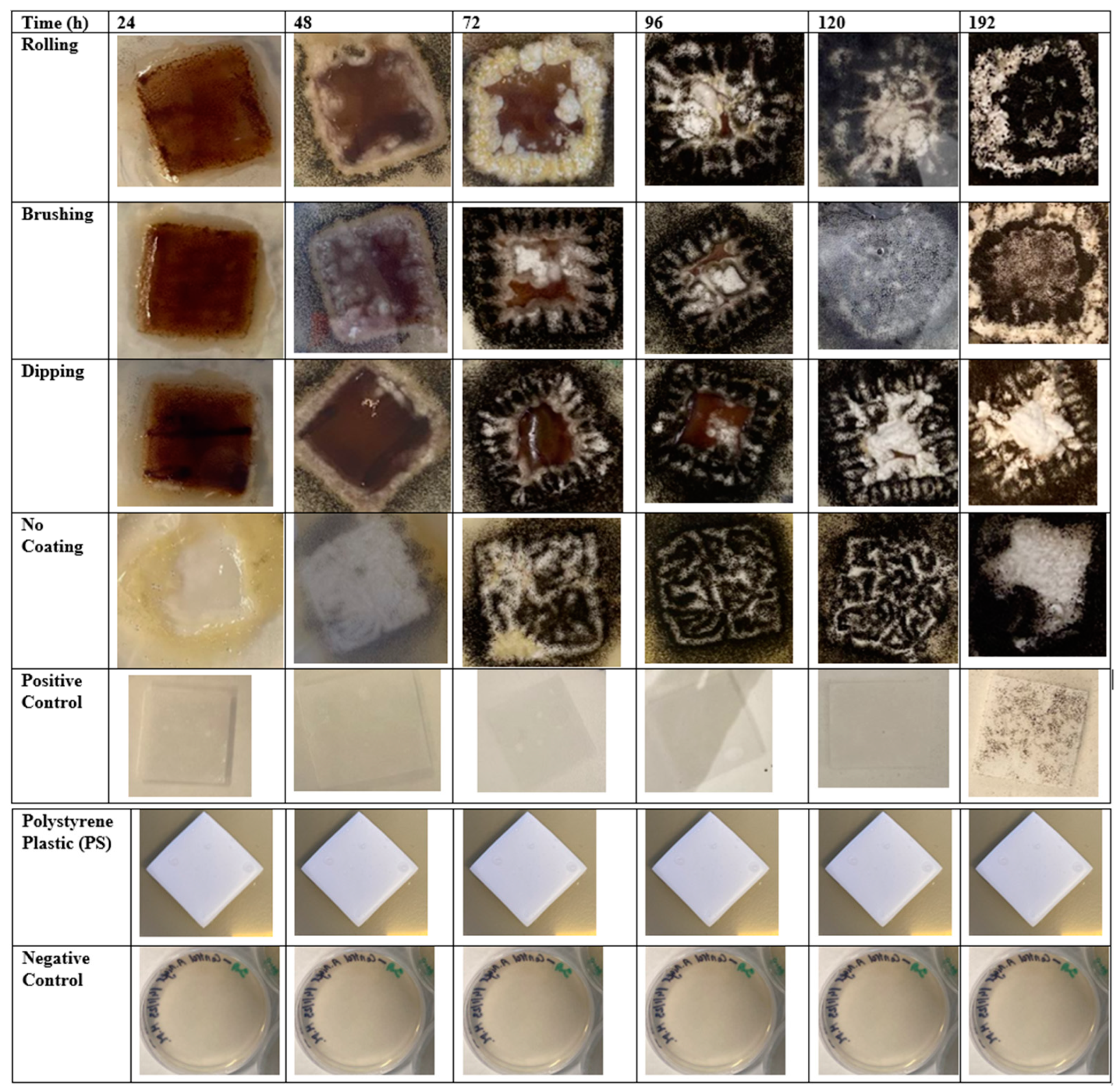 Biomass 04 00055 g008