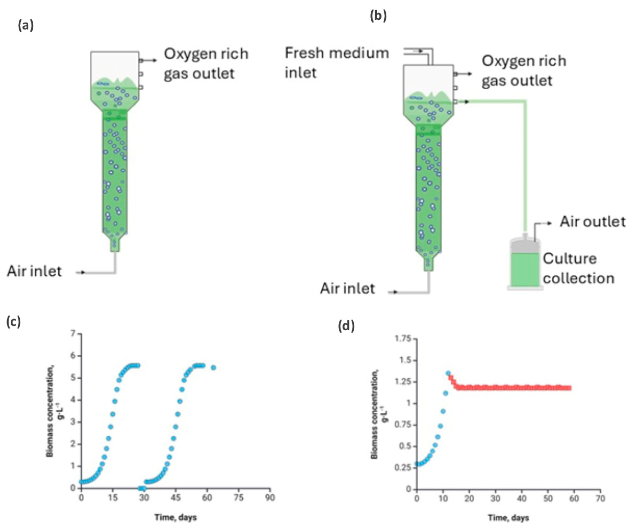 Biomass 05 00004 g001 Biomass 05 00004 g001