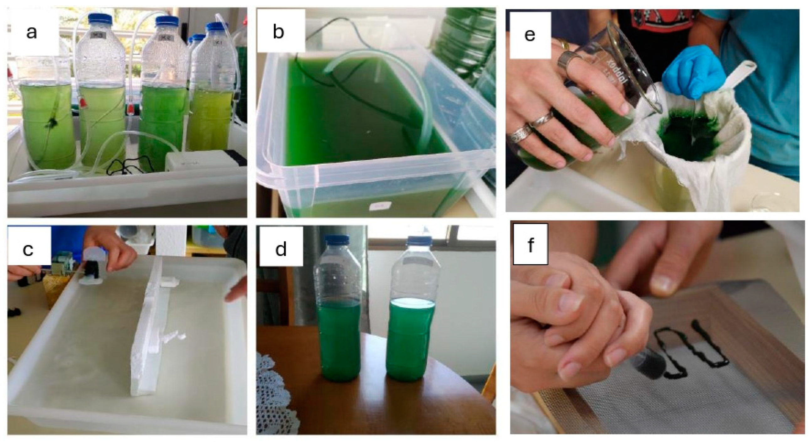 Biomass 05 00004 g002 Biomass 05 00004 g002