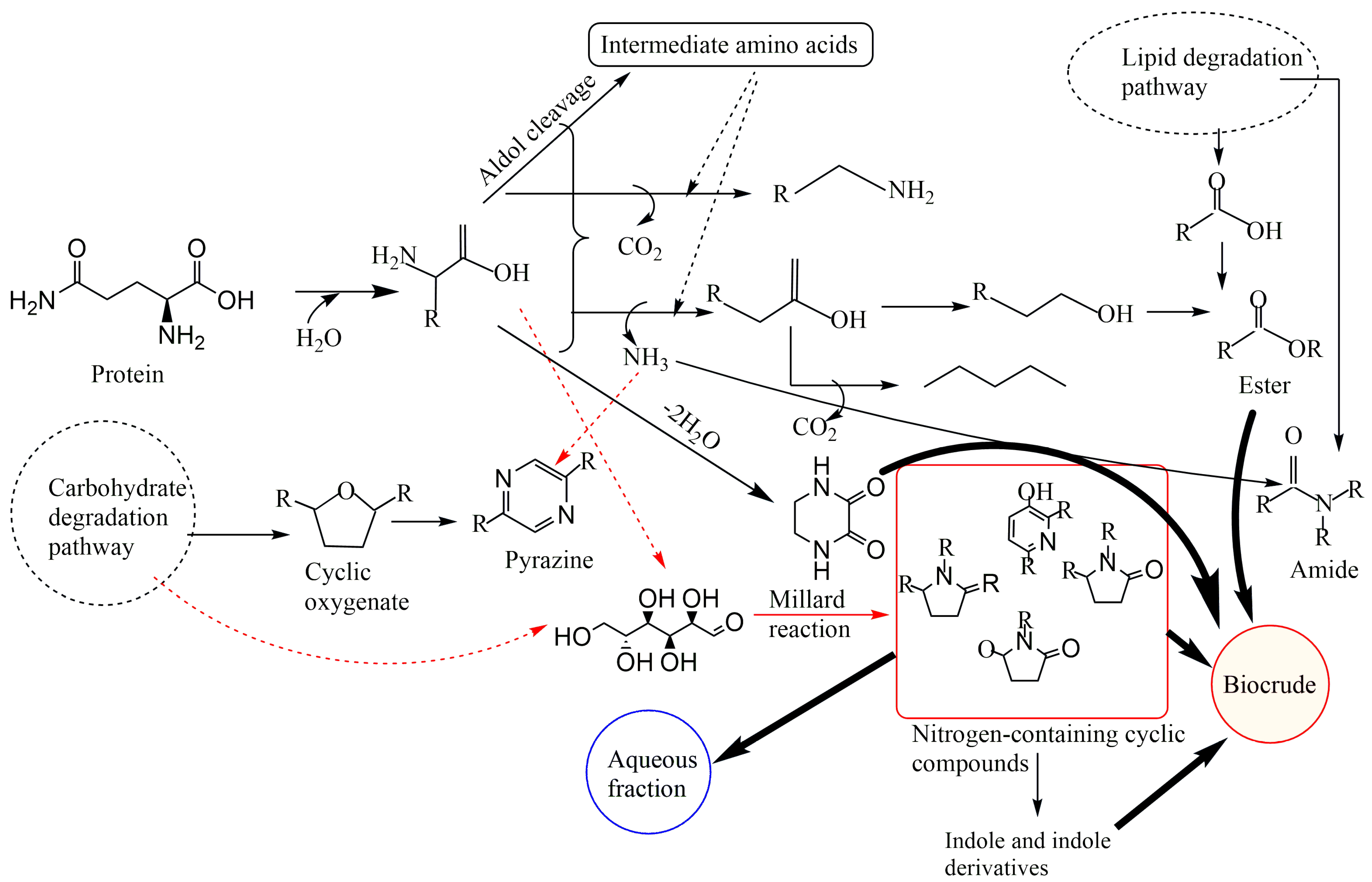 Biomass 05 00009 g005