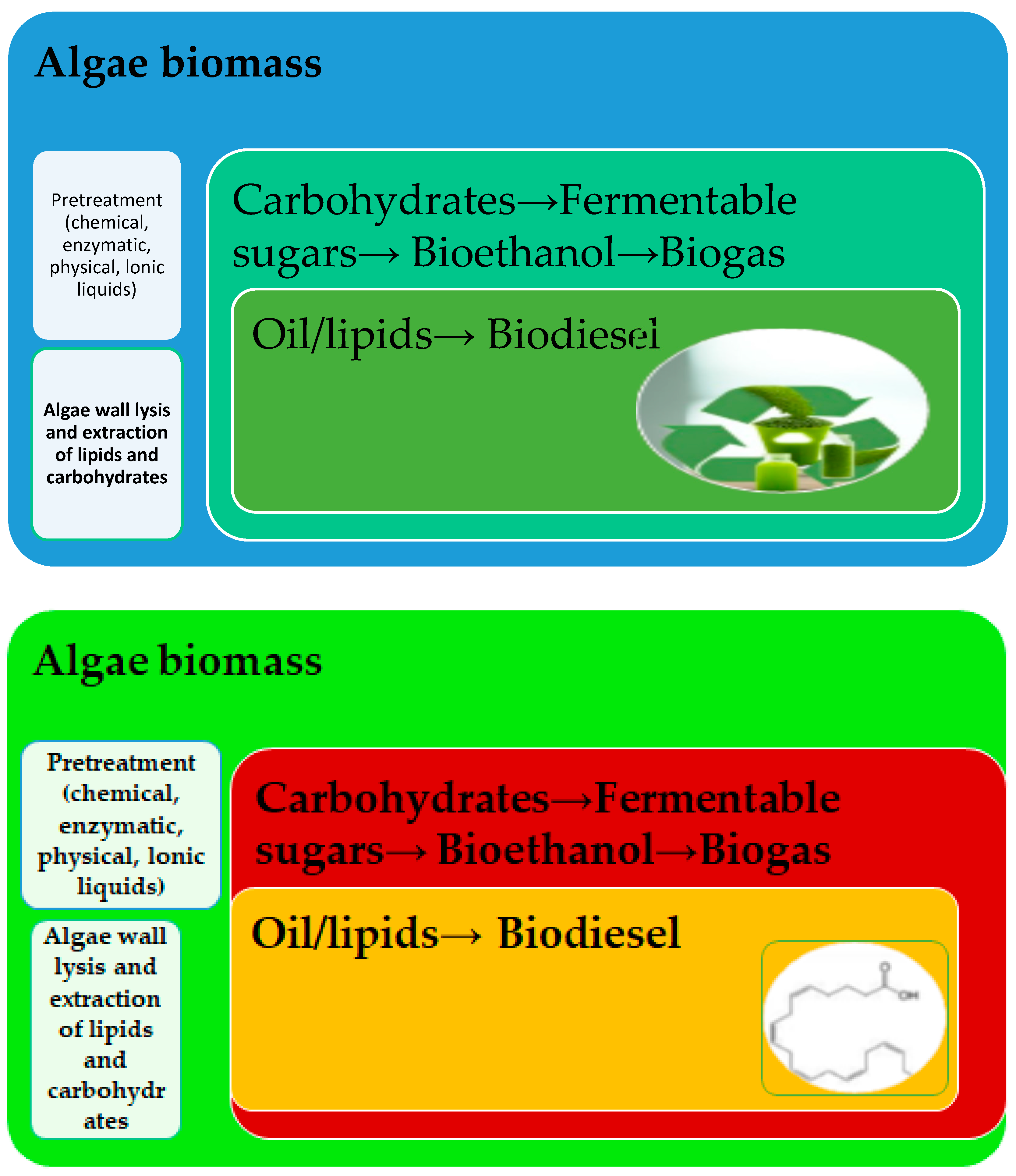 Biomass 05 00011 g002