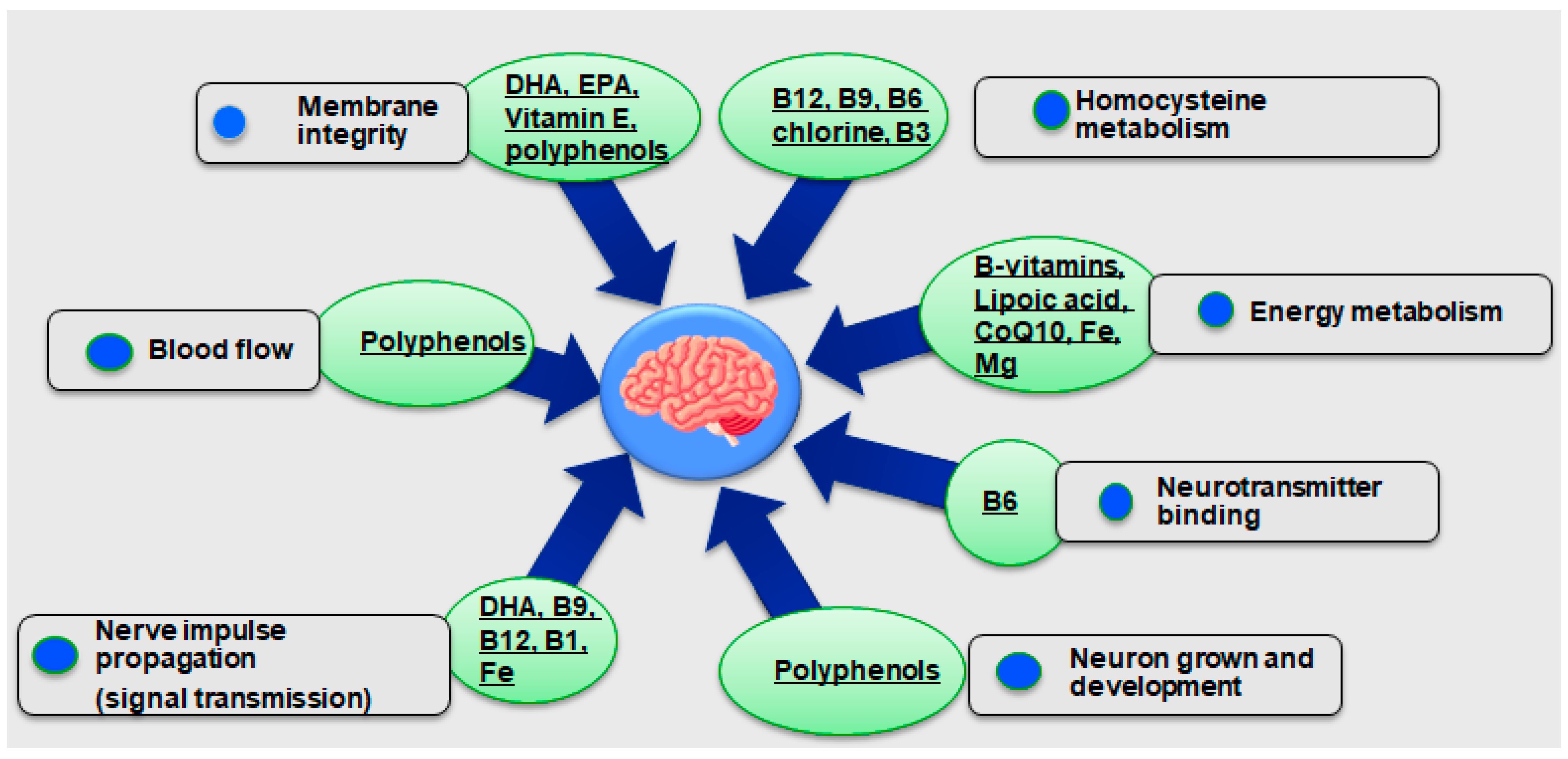 Biomass 05 00011 g006