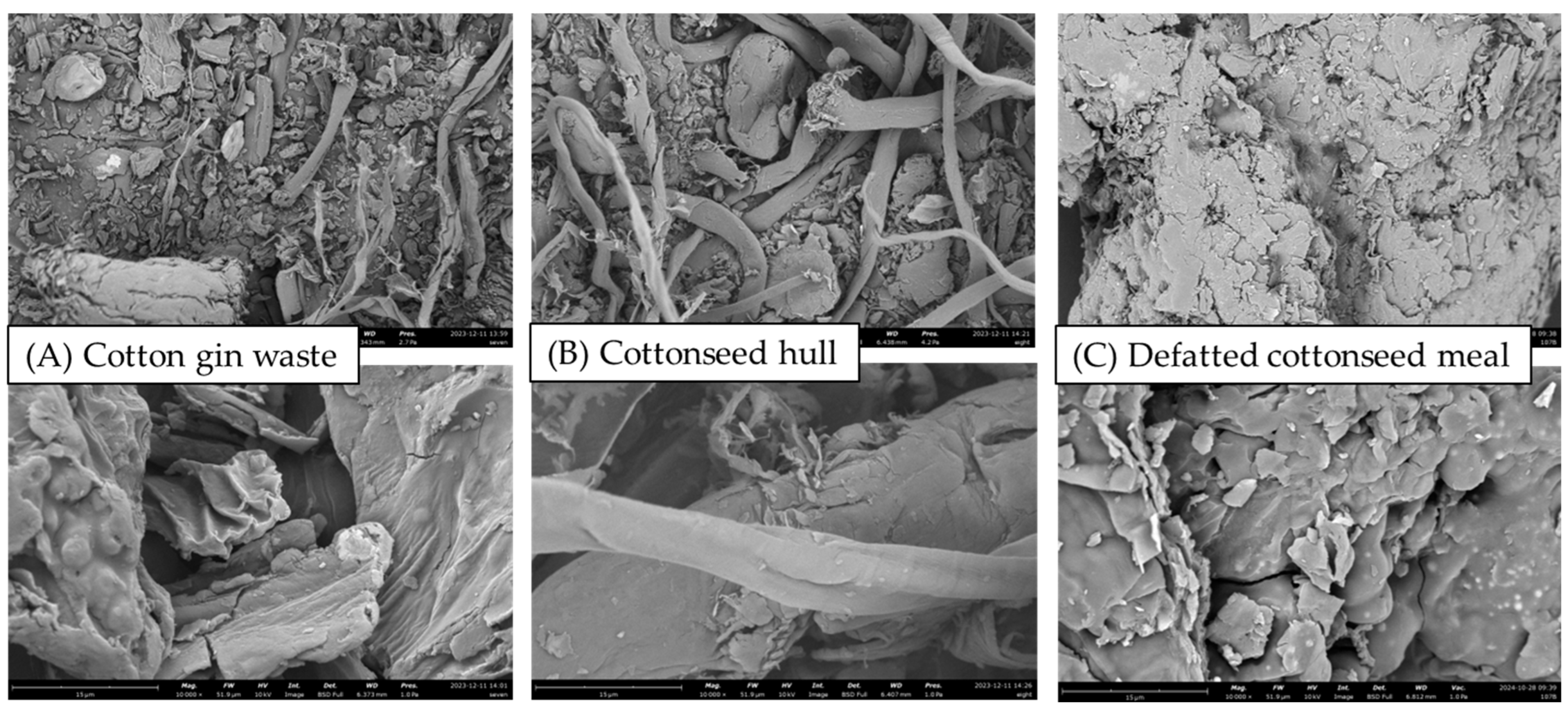 Biomass 05 00012 g003