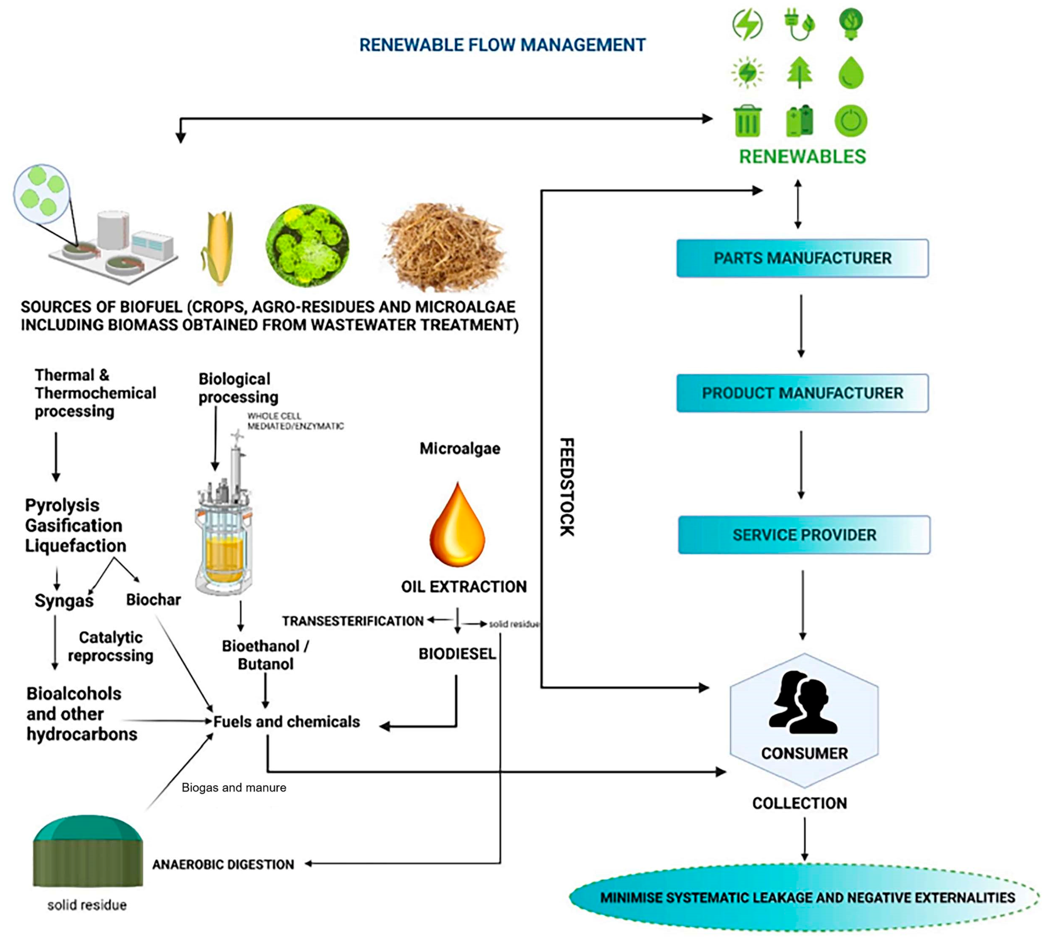 Biomass 05 00016 g002